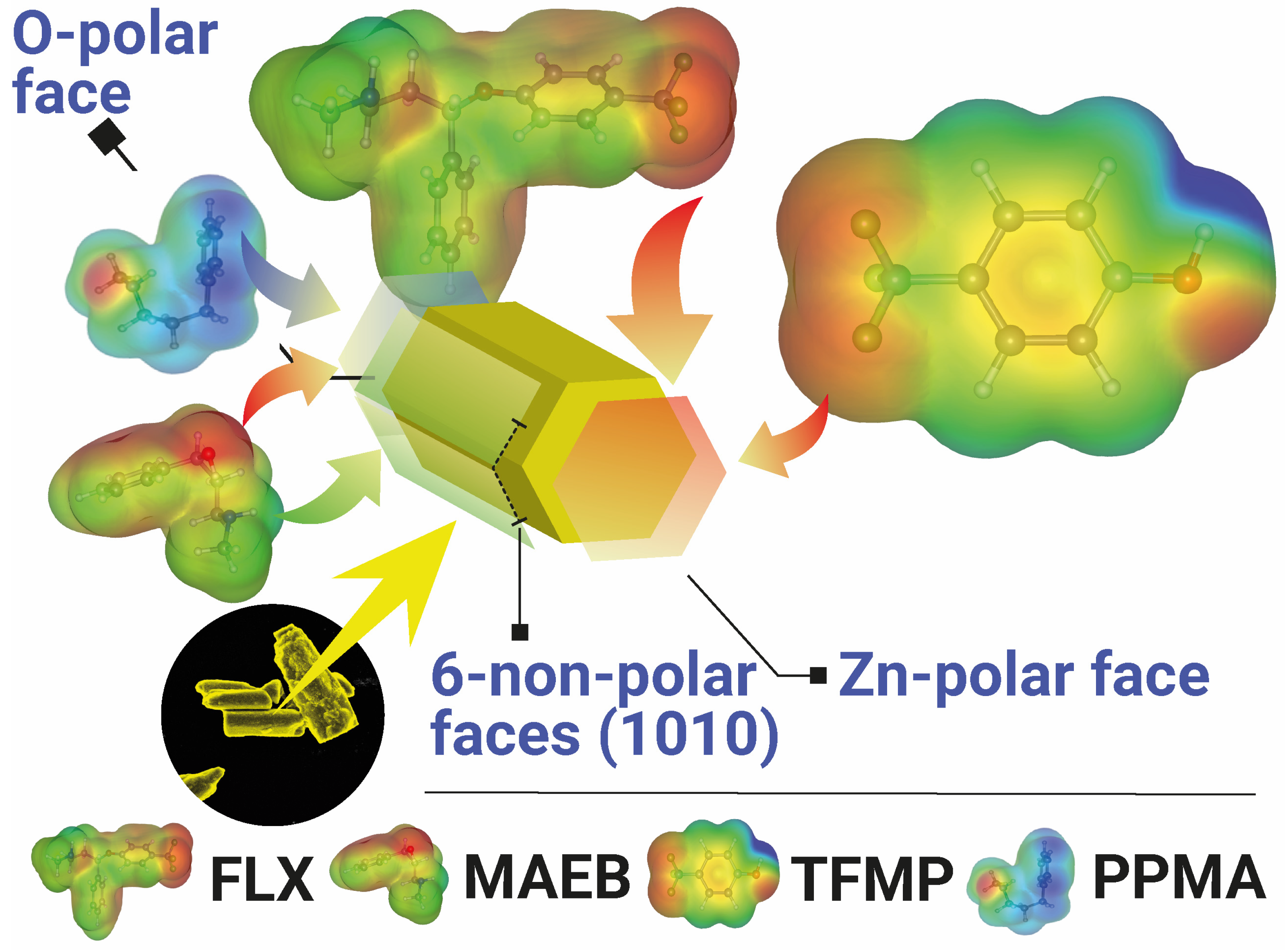 Catalysts 15 00643 g009