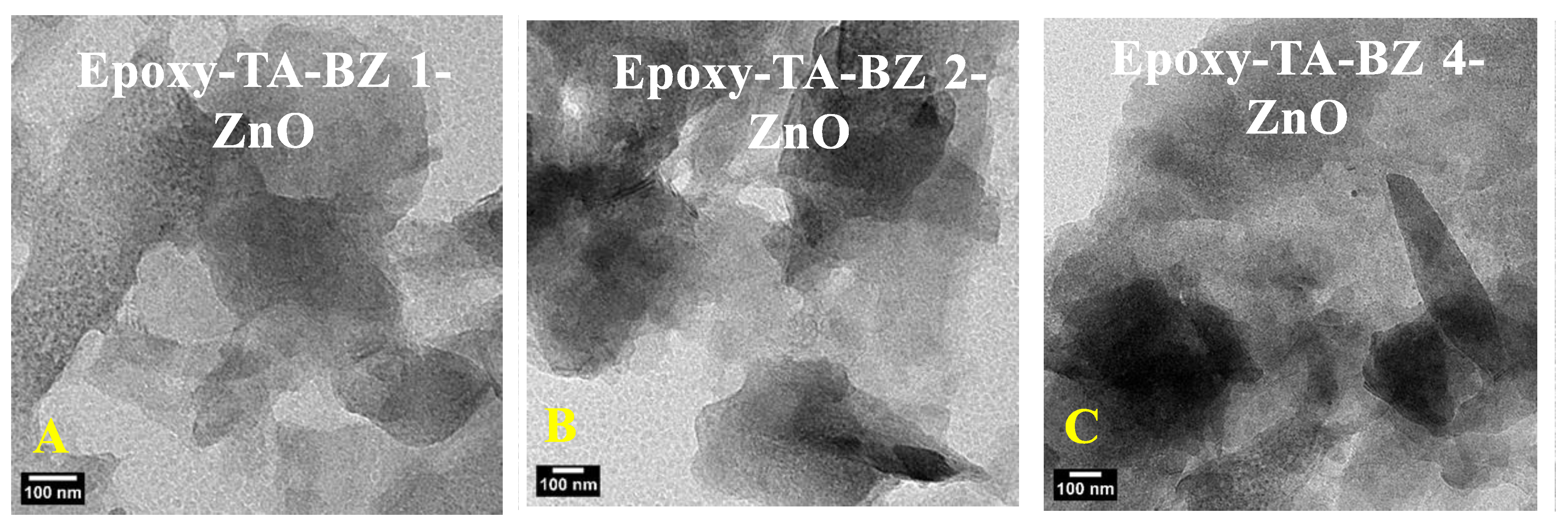 Catalysts 15 00644 g004