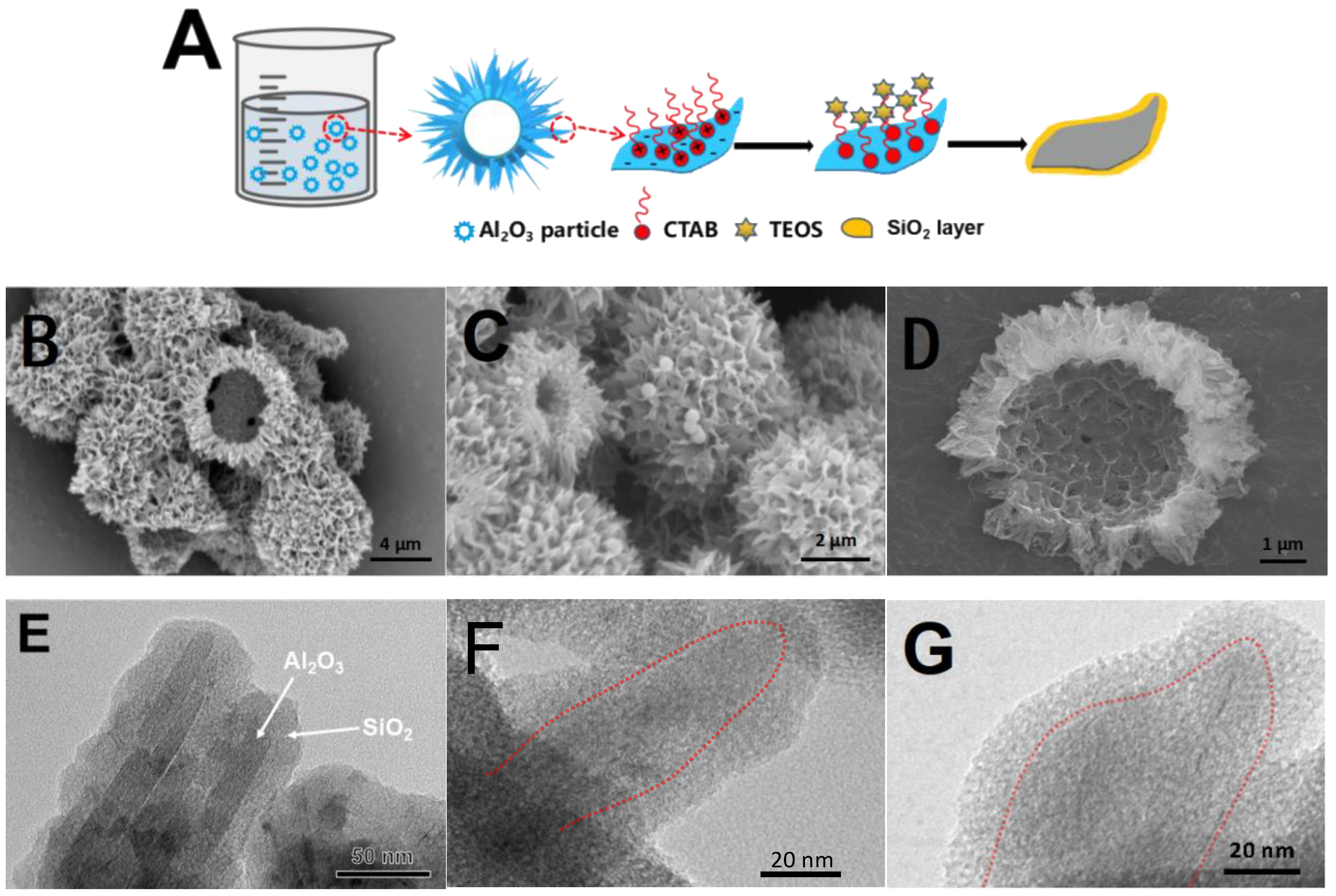 Catalysts 15 00646 g001
