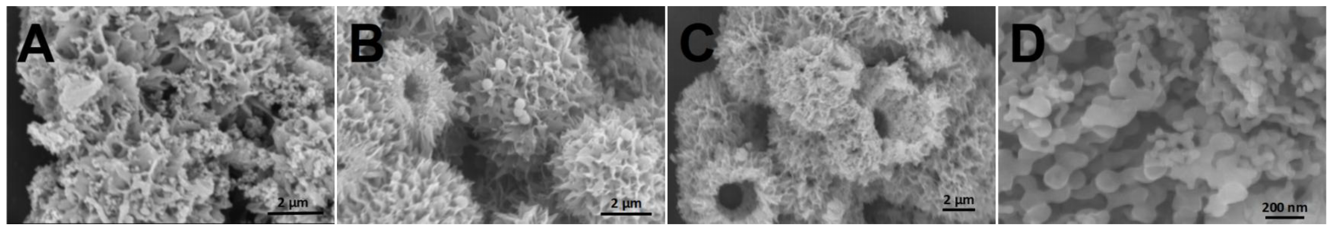 Catalysts 15 00646 g002