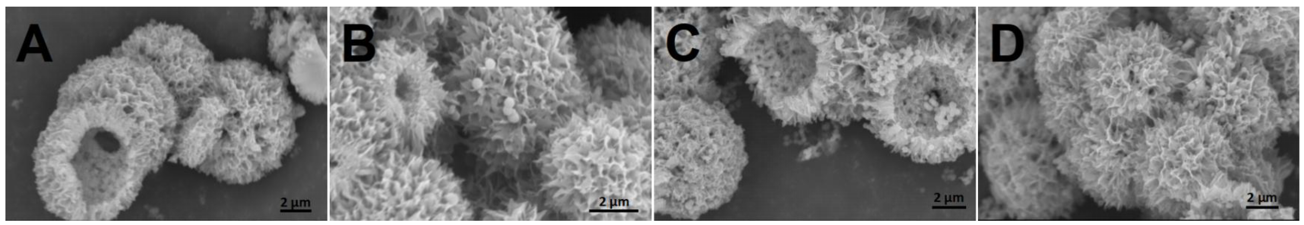 Catalysts 15 00646 g003