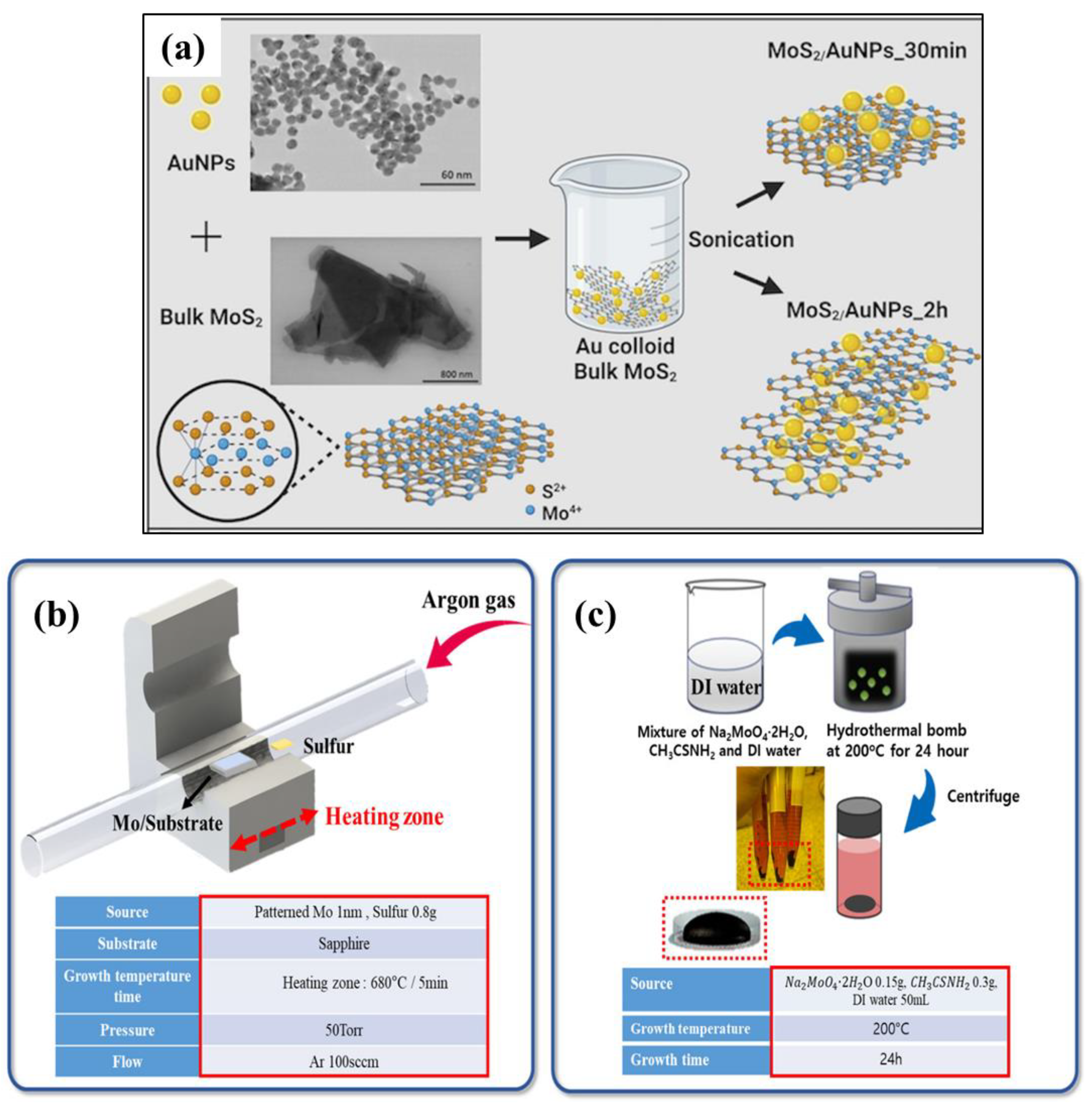 Catalysts 15 00648 g001