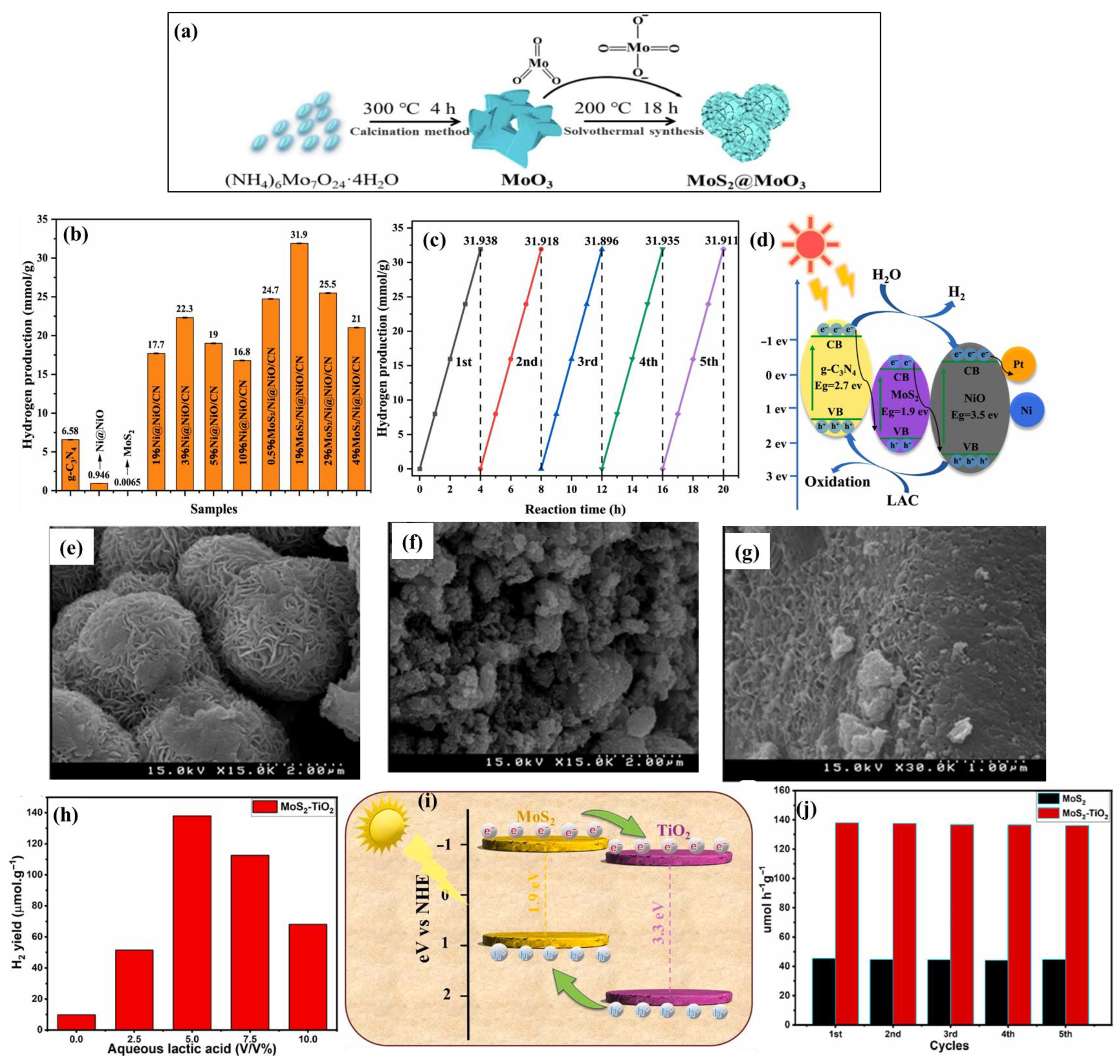 Catalysts 15 00648 g002