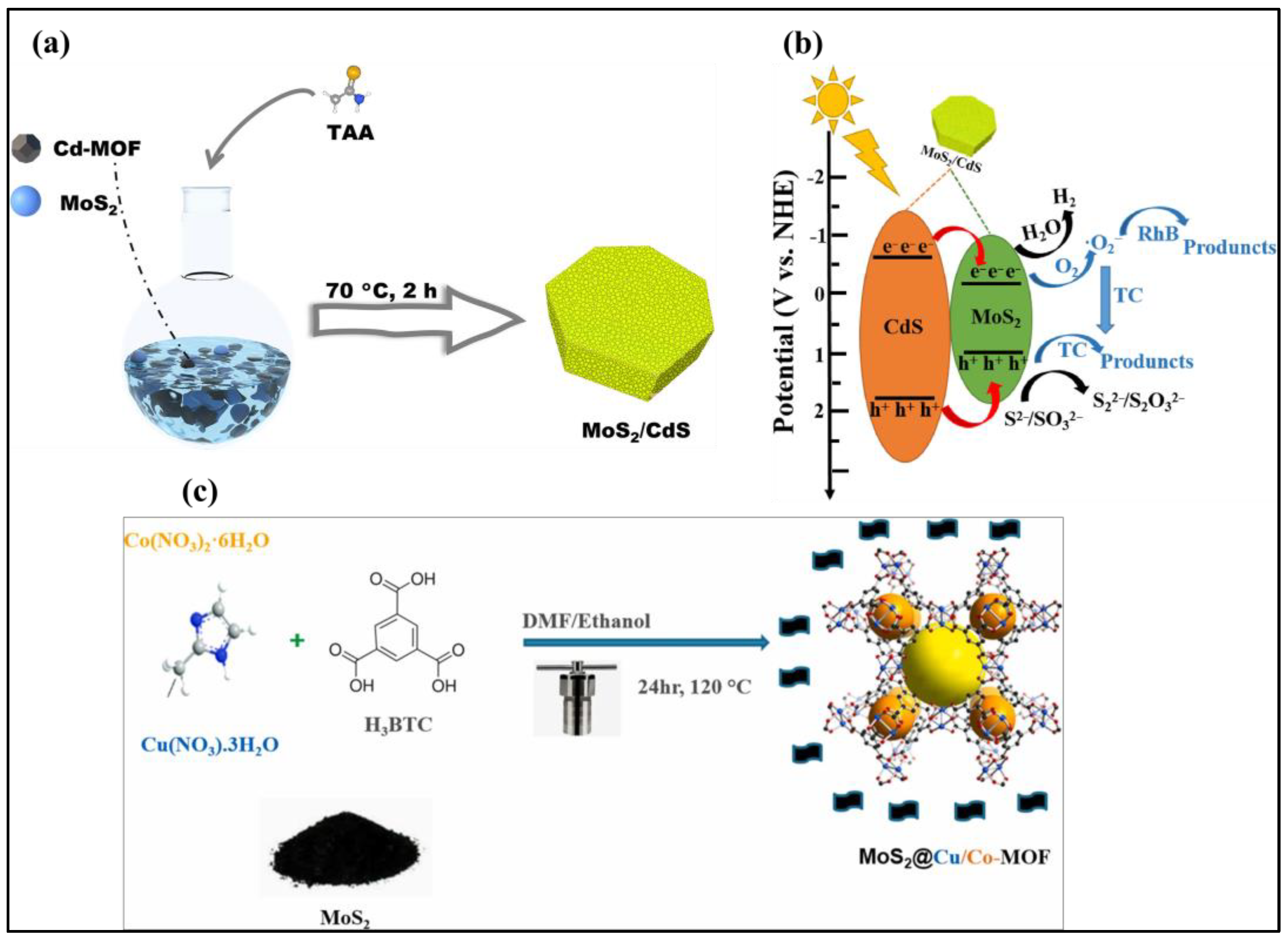 Catalysts 15 00648 g005