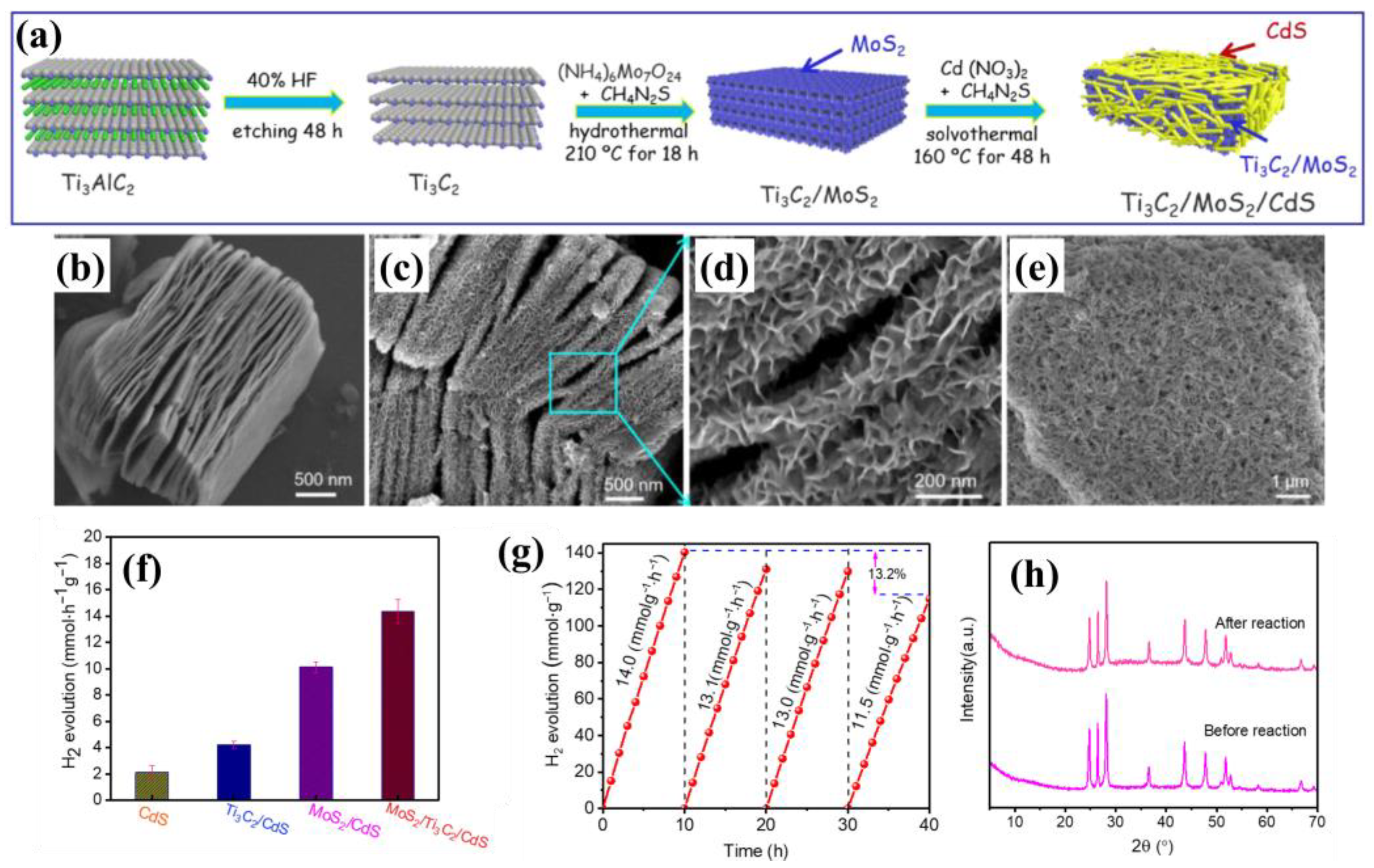 Catalysts 15 00648 g006