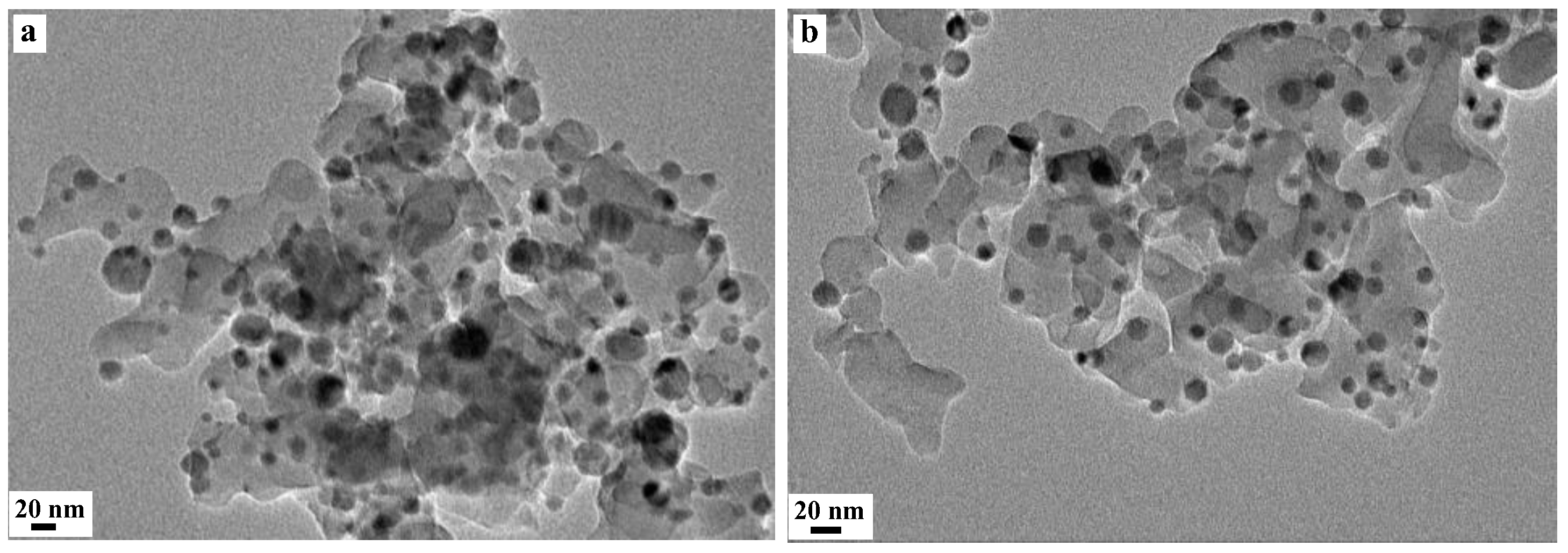 Catalysts 15 00649 g003