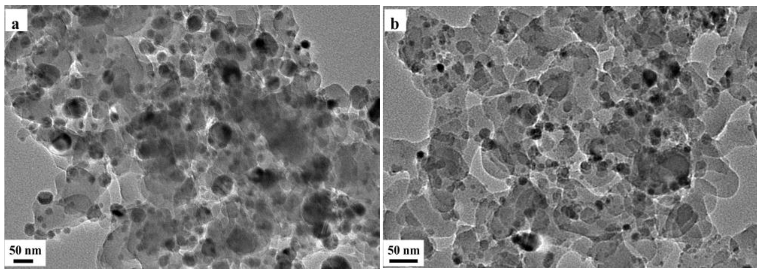 Catalysts 15 00649 g008