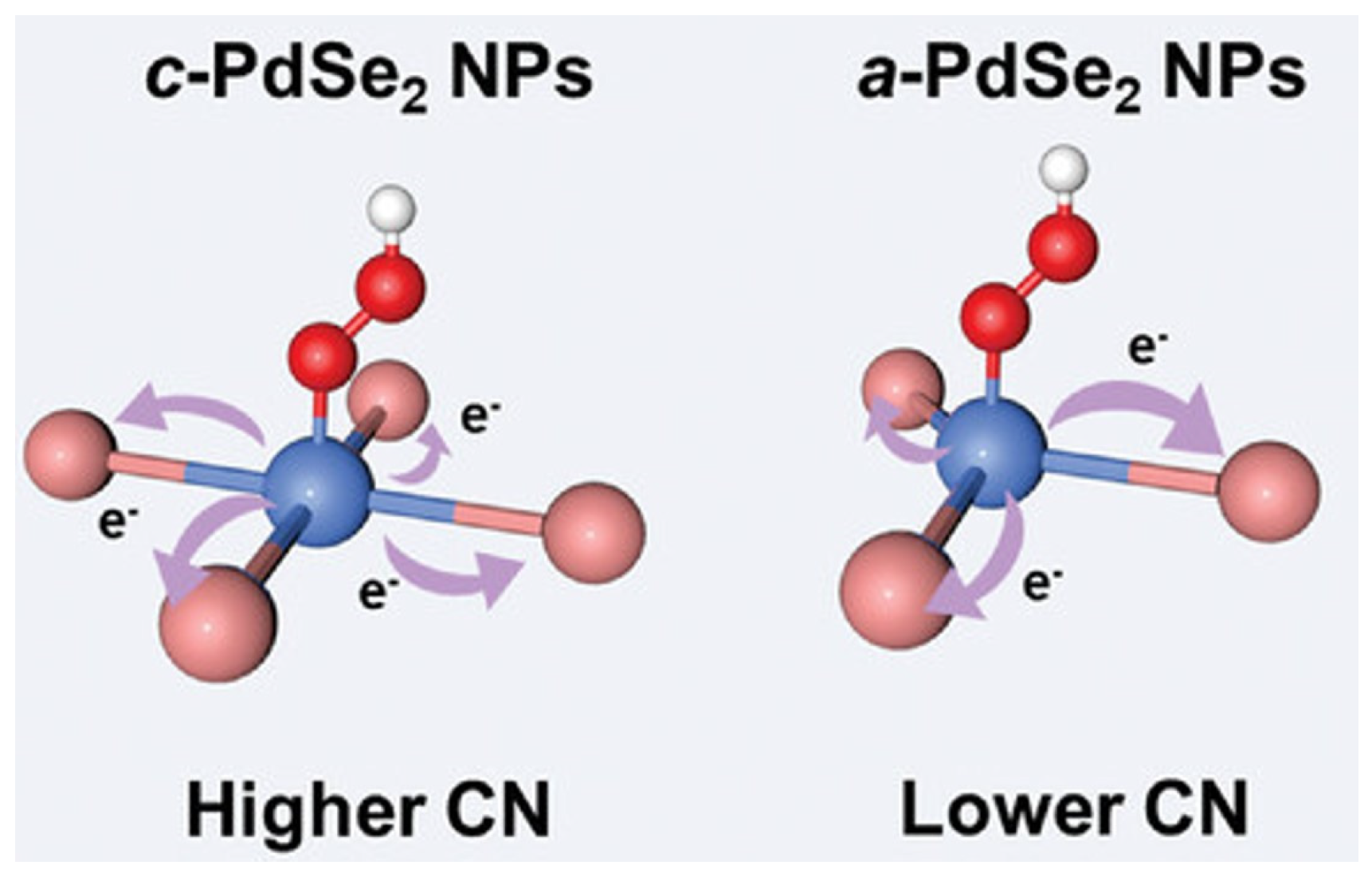 Catalysts 15 00651 g005