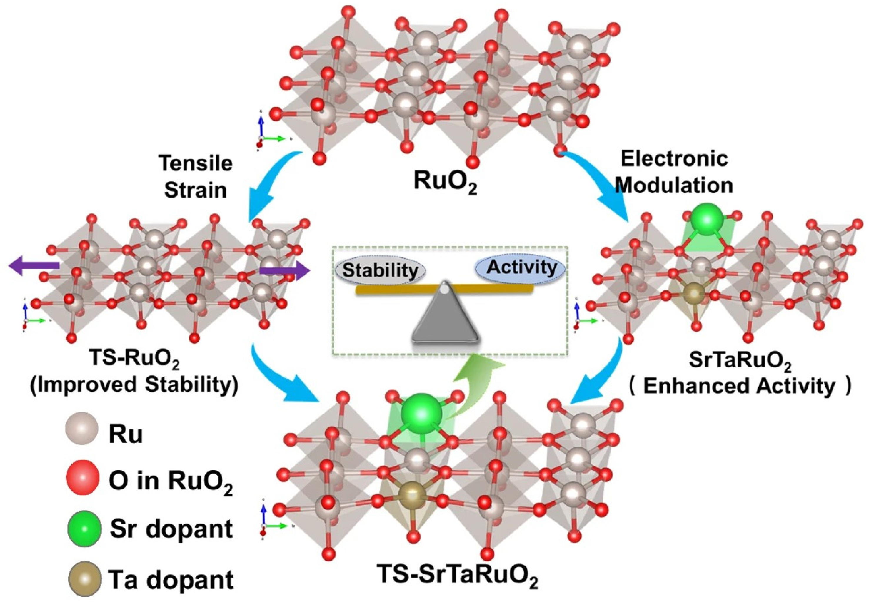 Catalysts 15 00651 g007