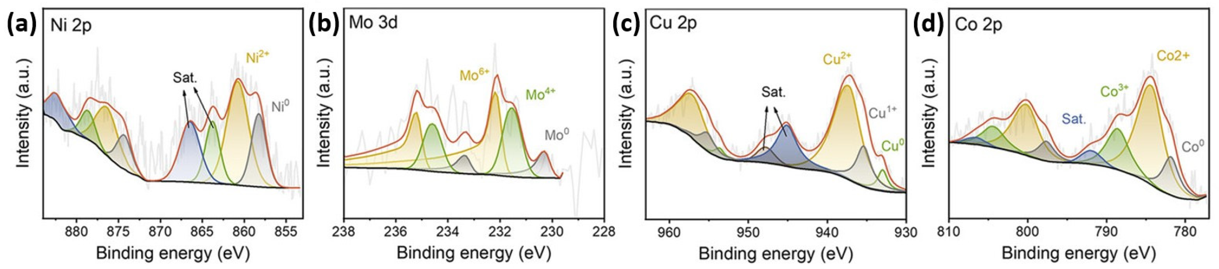 Catalysts 15 00651 g014