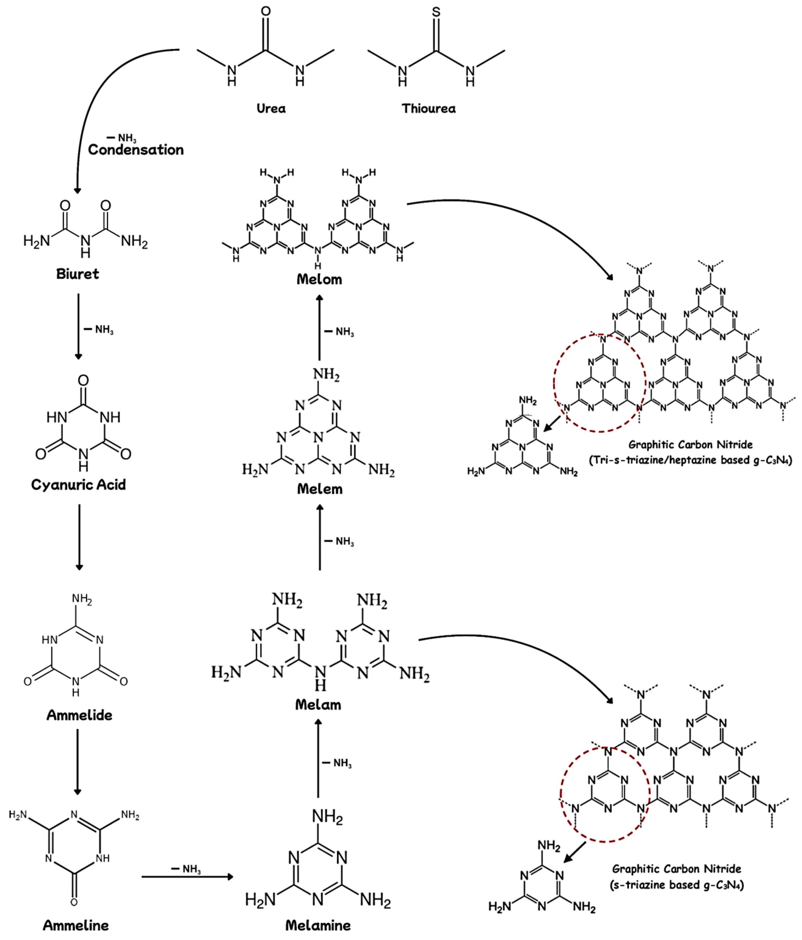 Catalysts 15 00653 g004