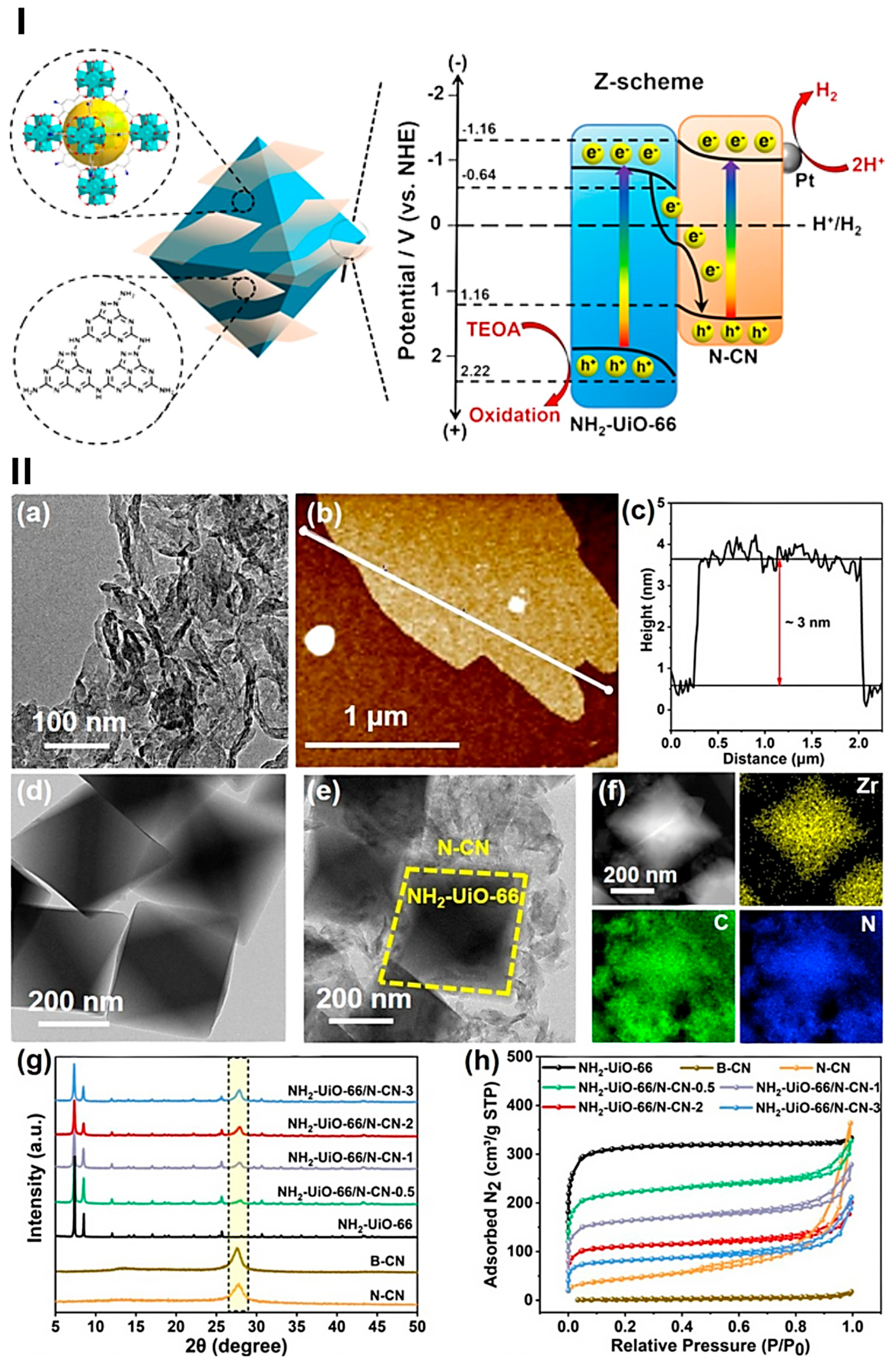 Catalysts 15 00653 g011