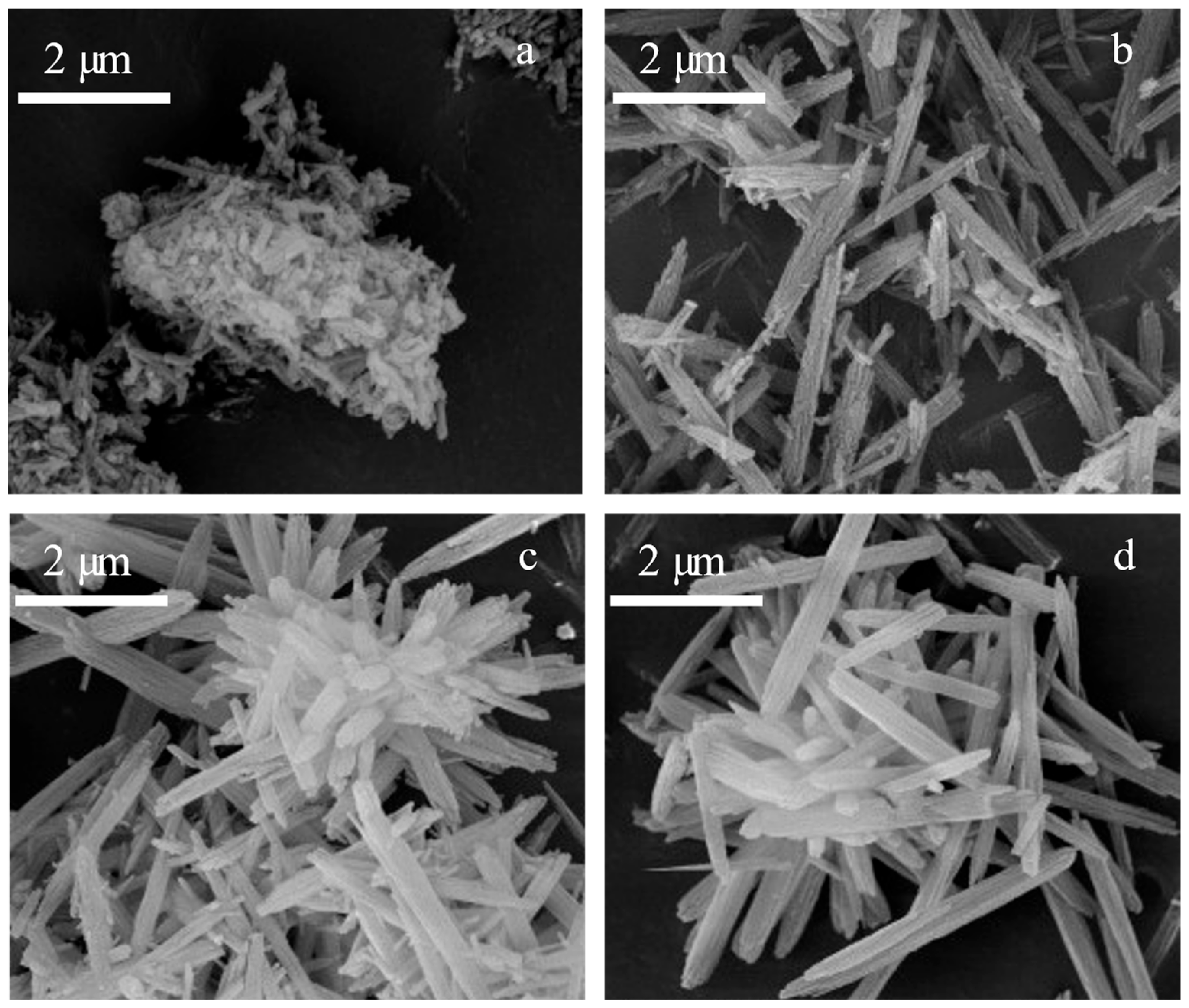 Catalysts 15 00655 g003