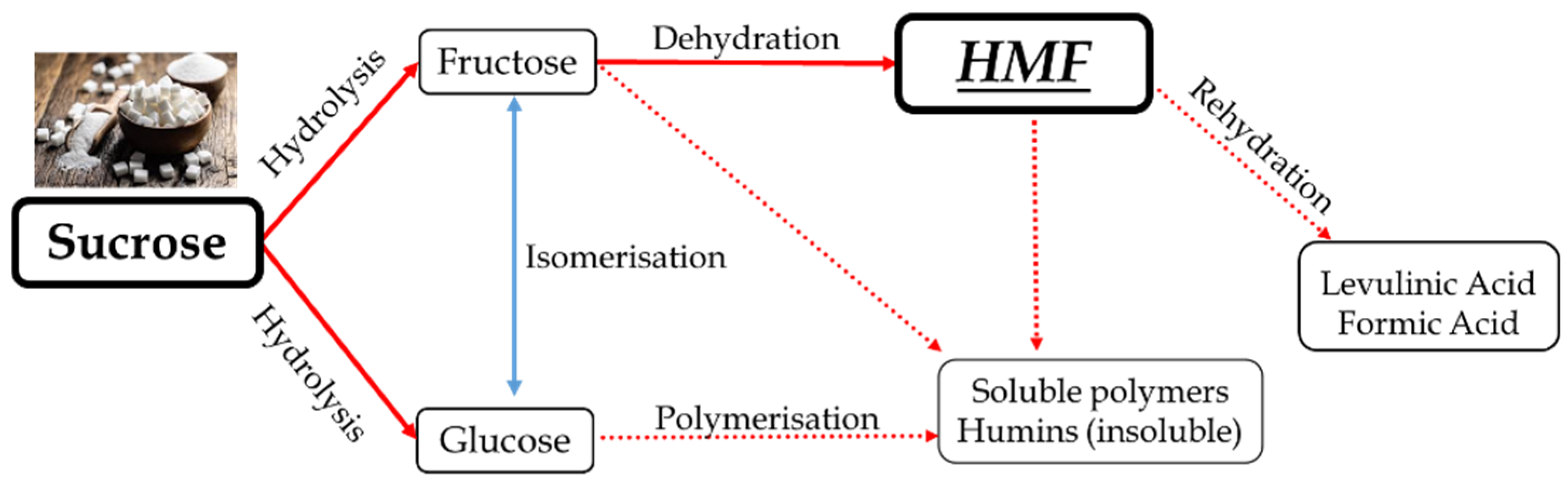 Catalysts 15 00656 sch001