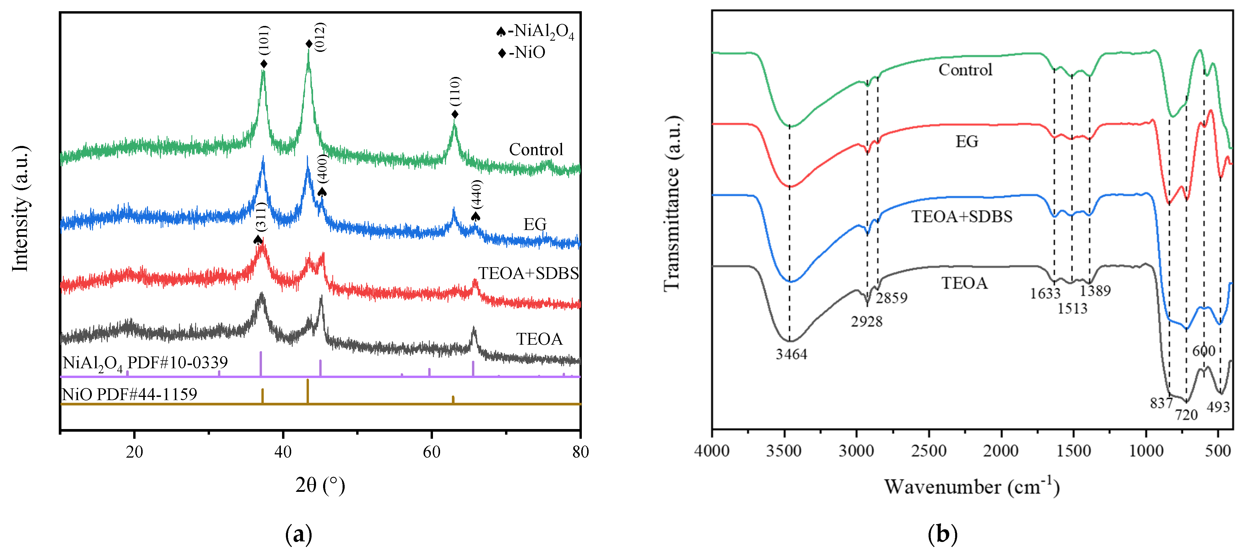 Catalysts 15 00658 g001