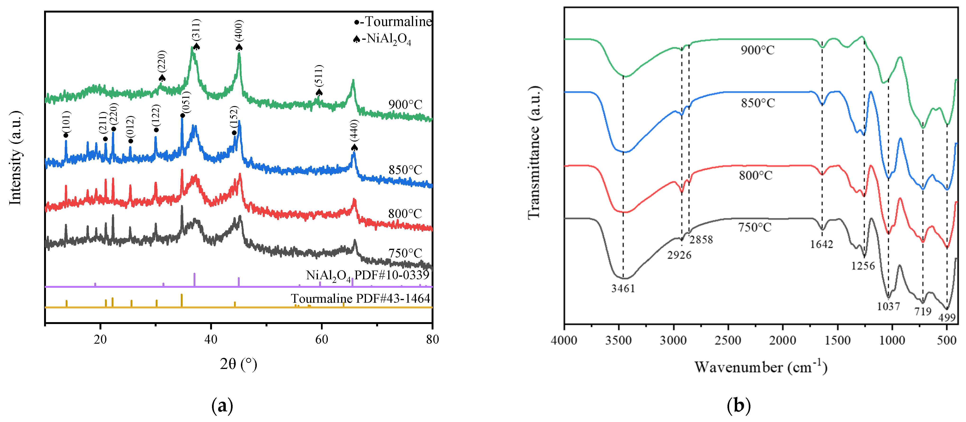 Catalysts 15 00658 g004