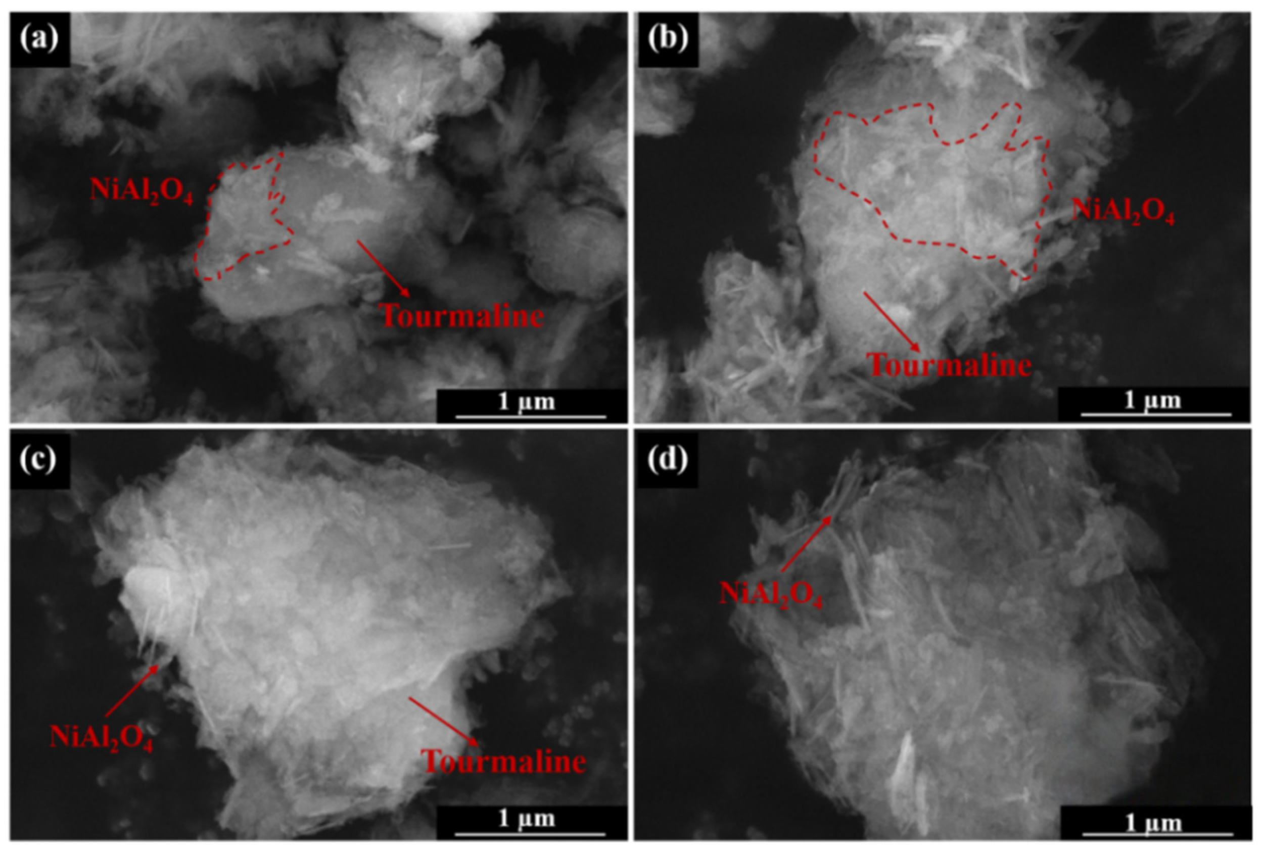 Catalysts 15 00658 g005
