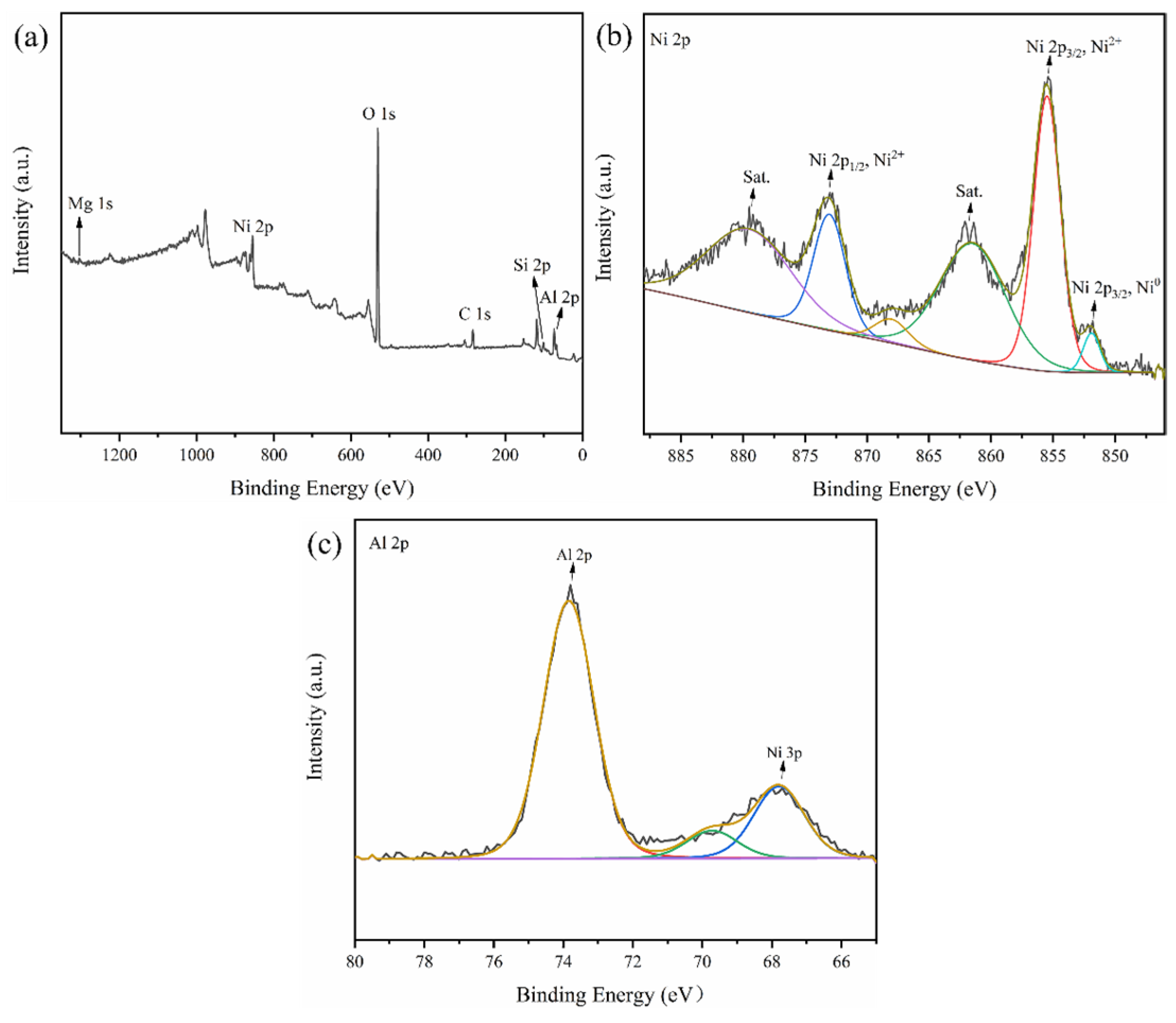 Catalysts 15 00658 g008