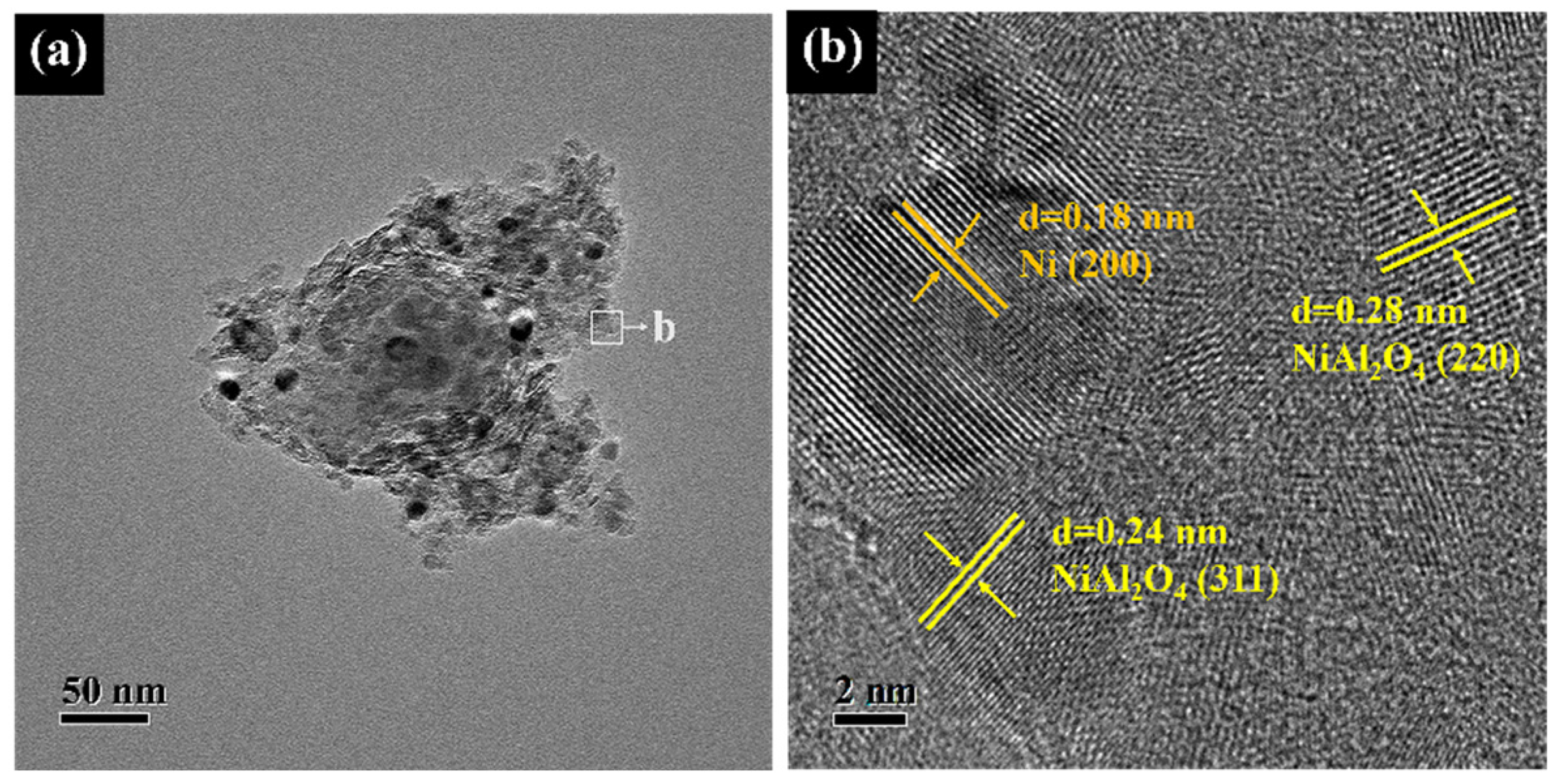 Catalysts 15 00658 g009