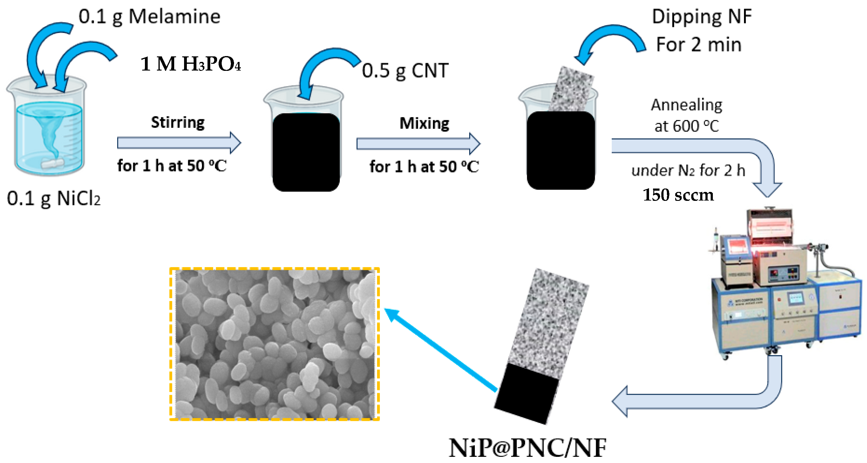 Catalysts 15 00662 g001