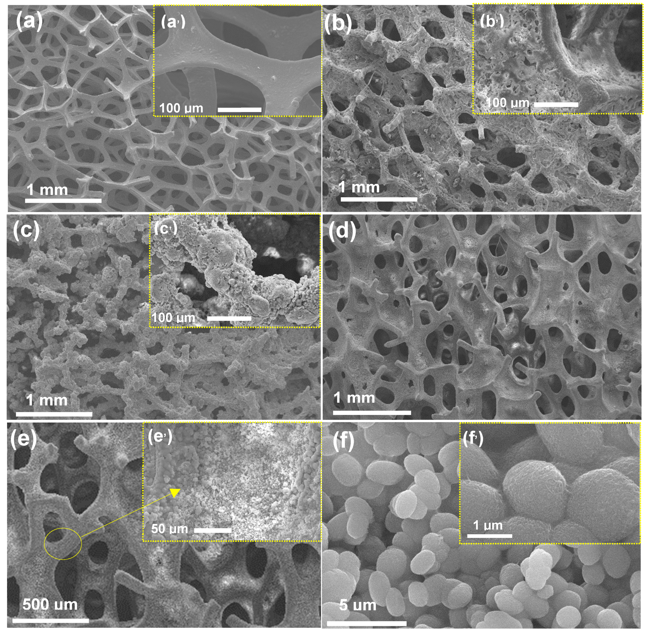 Catalysts 15 00662 g002