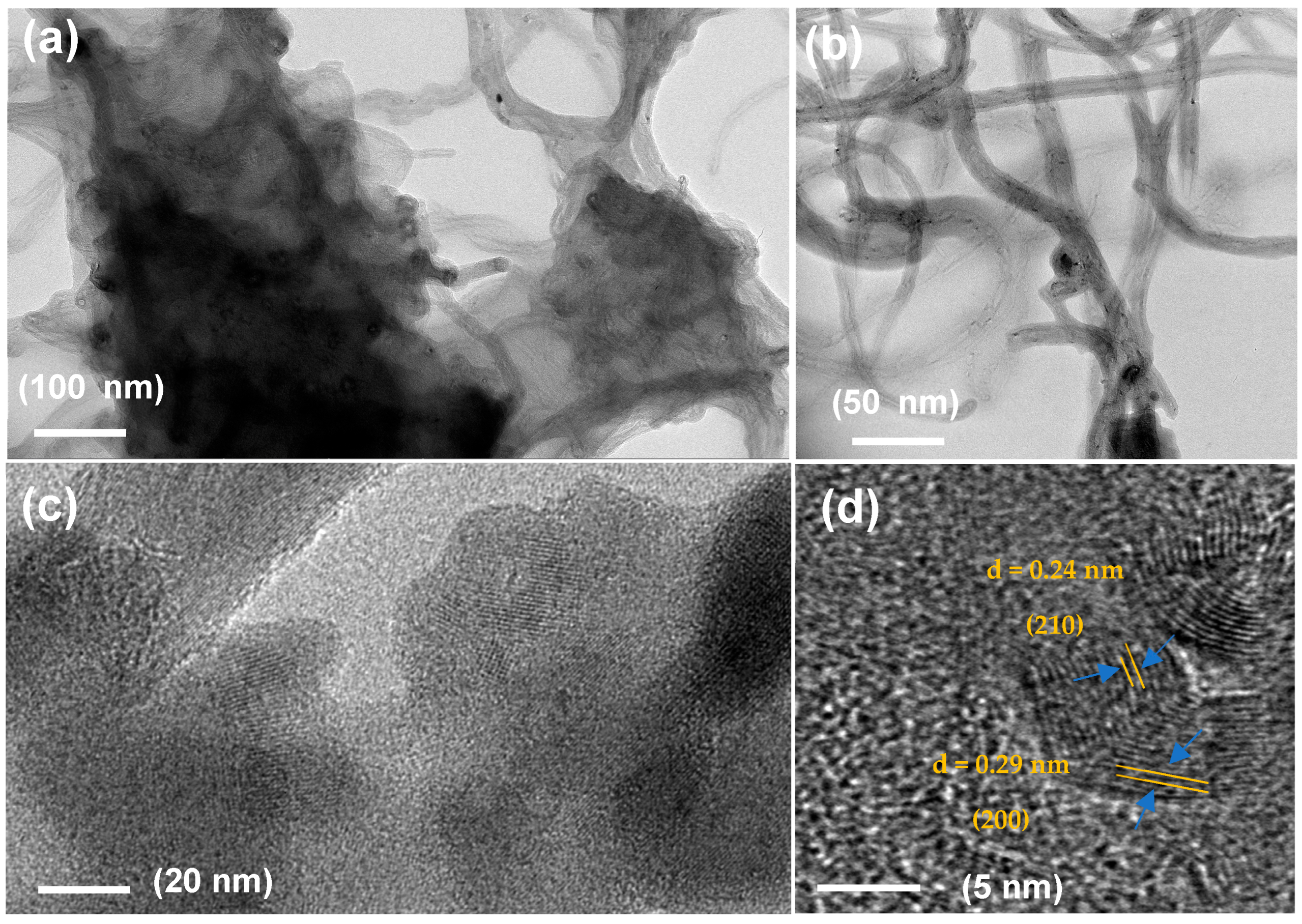 Catalysts 15 00662 g003