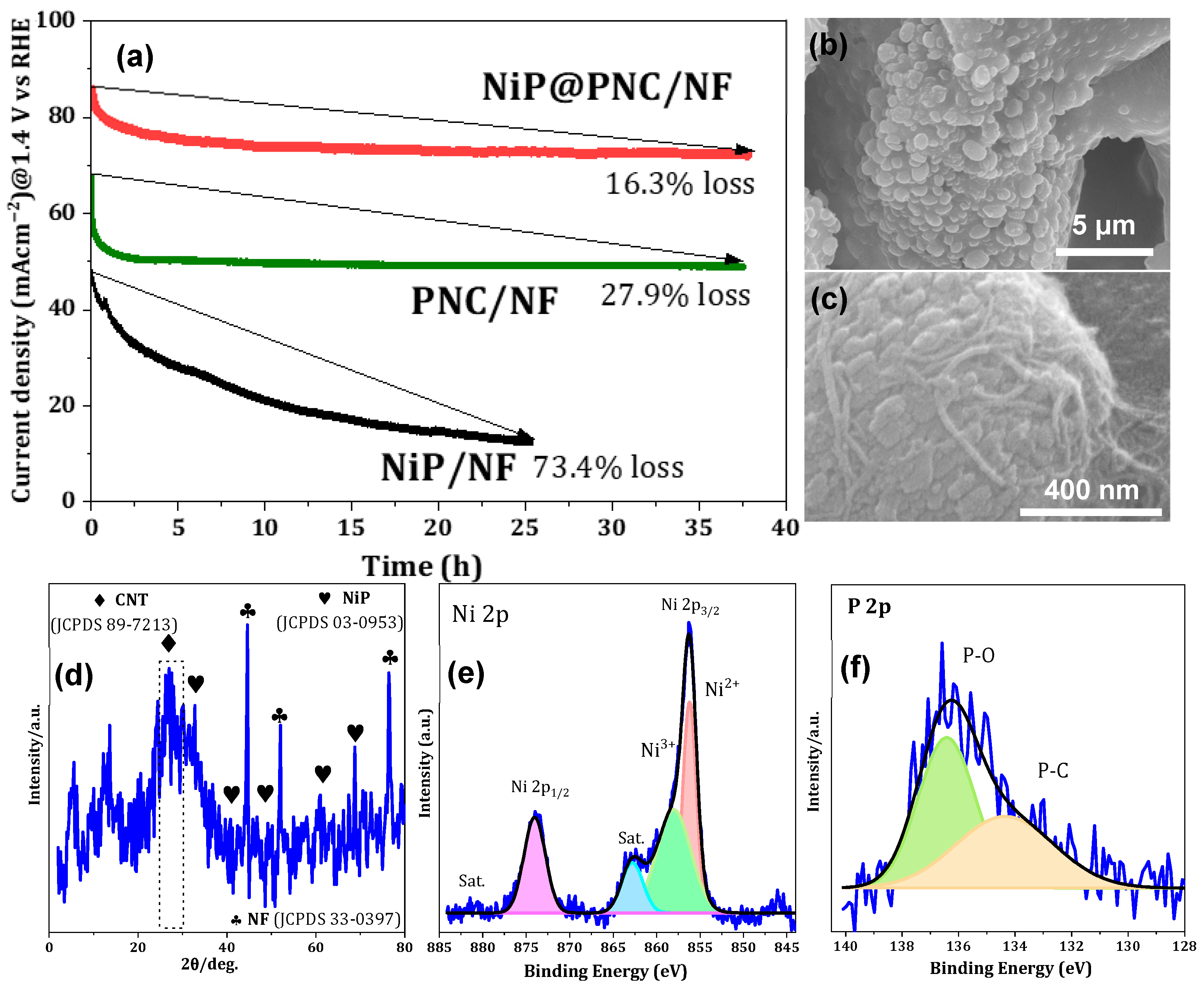 Catalysts 15 00662 g007