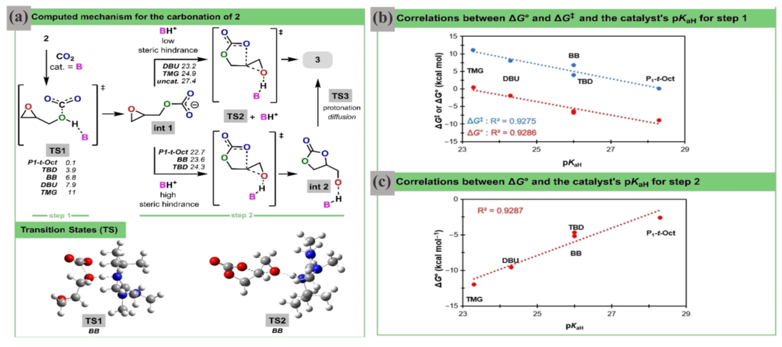 Catalysts 15 00668 g005