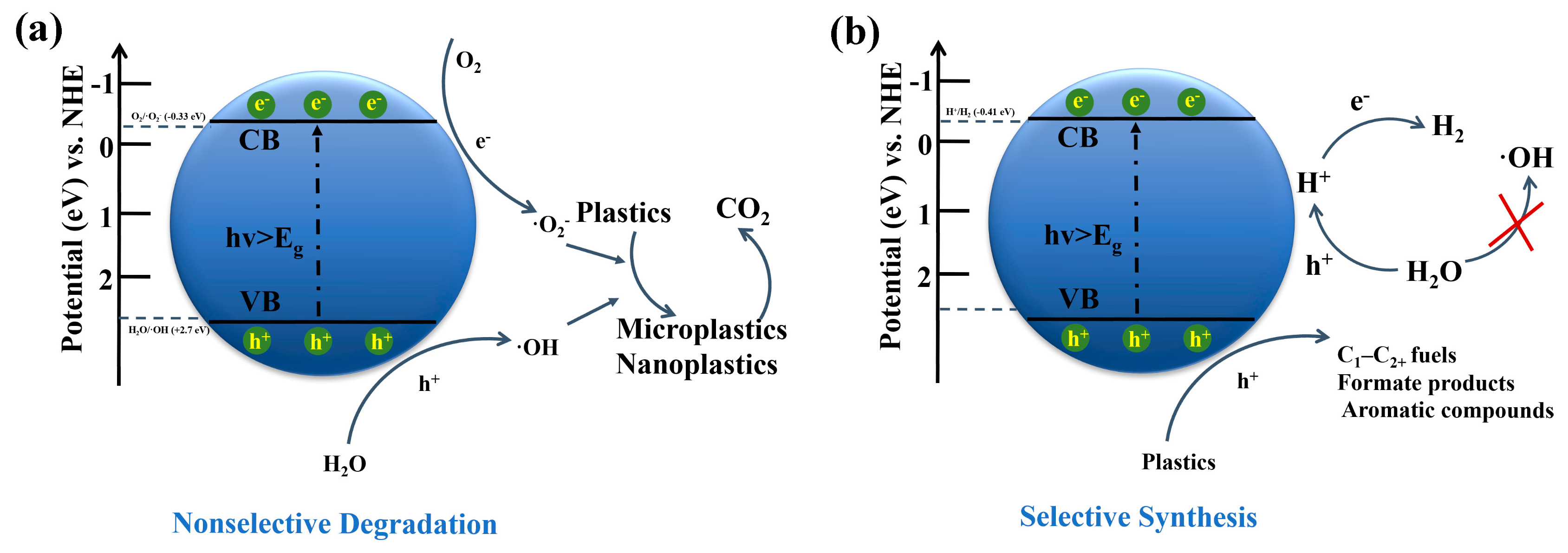 Catalysts 15 00670 g001