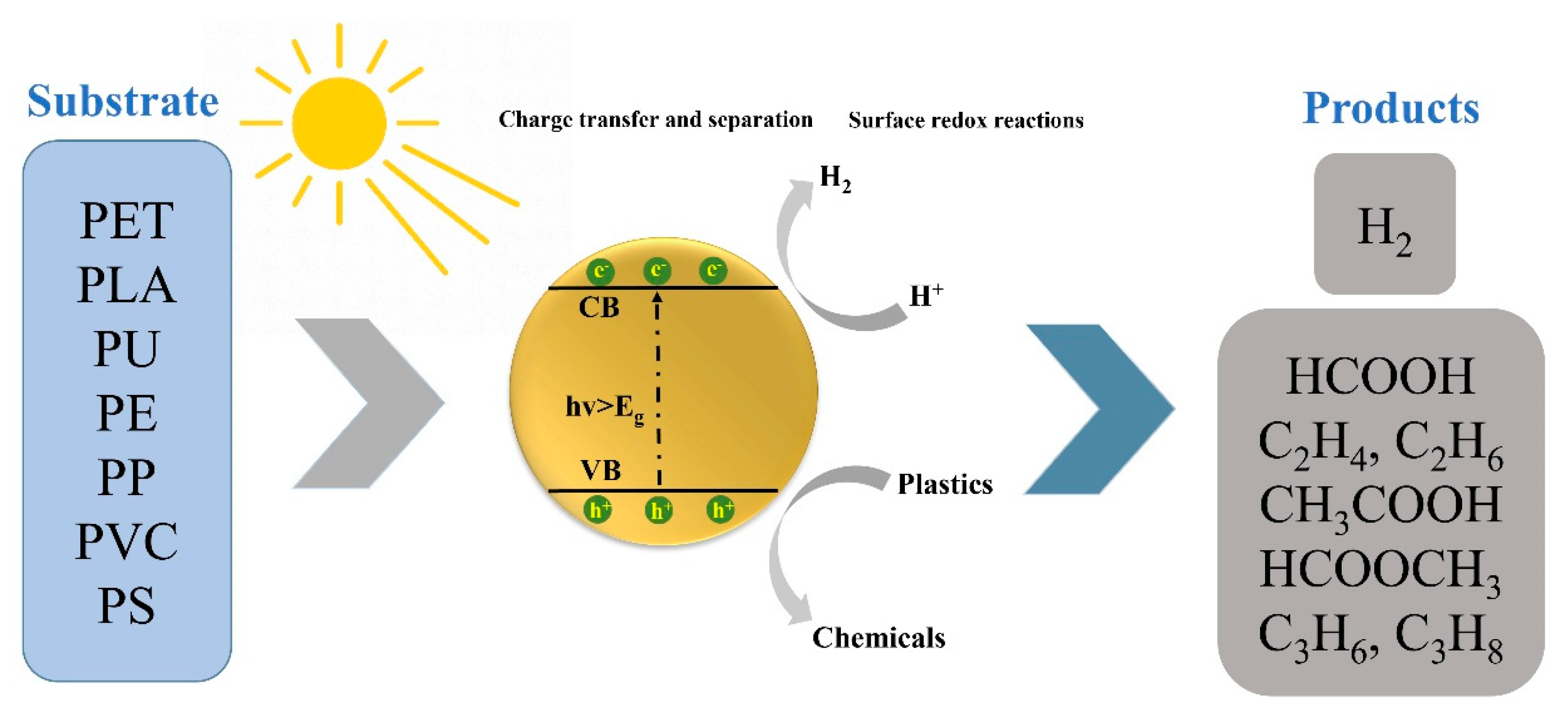 Catalysts 15 00670 g002