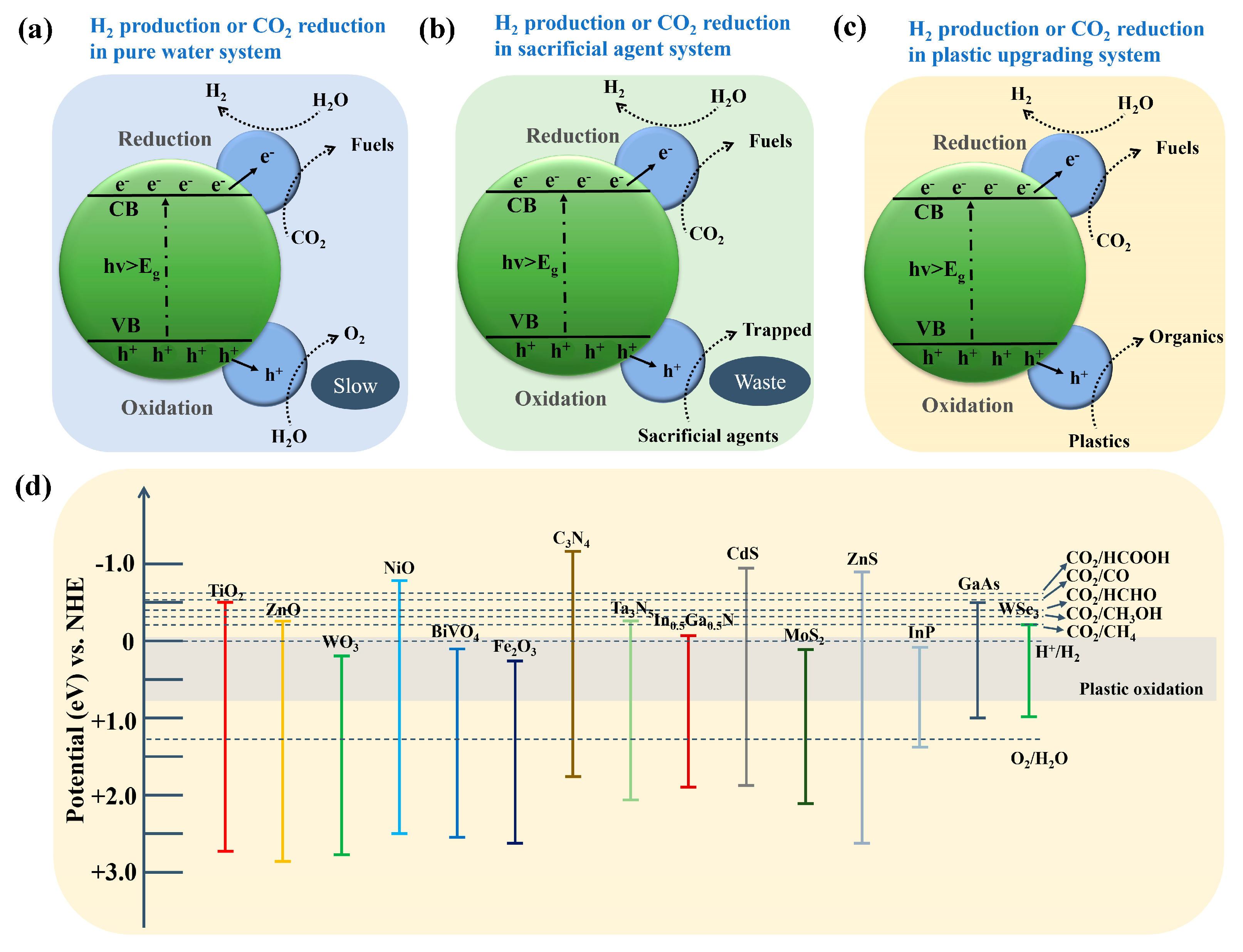 Catalysts 15 00670 g005