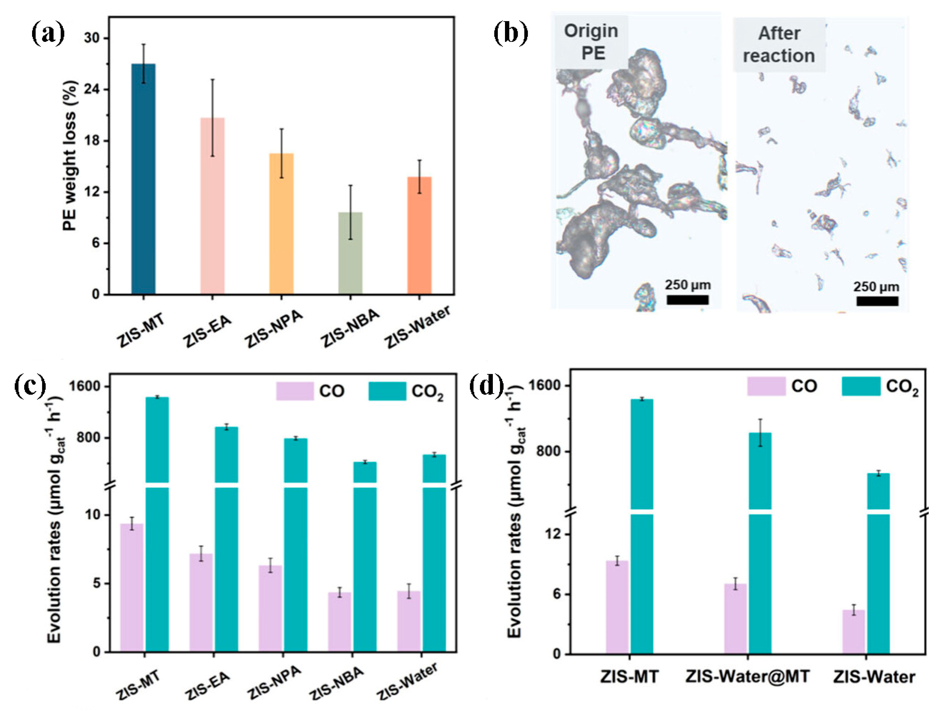 Catalysts 15 00670 g007