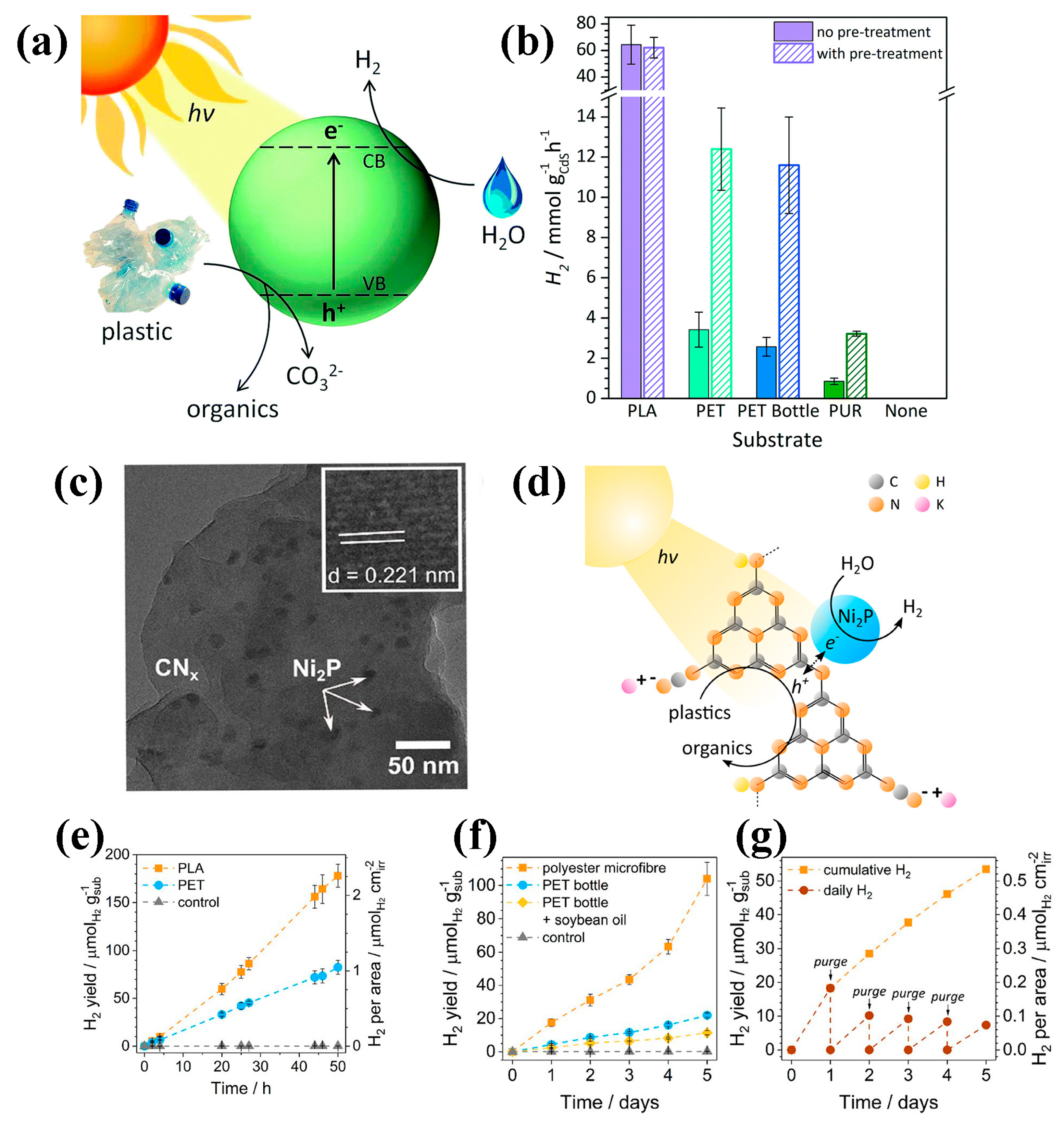 Catalysts 15 00670 g011