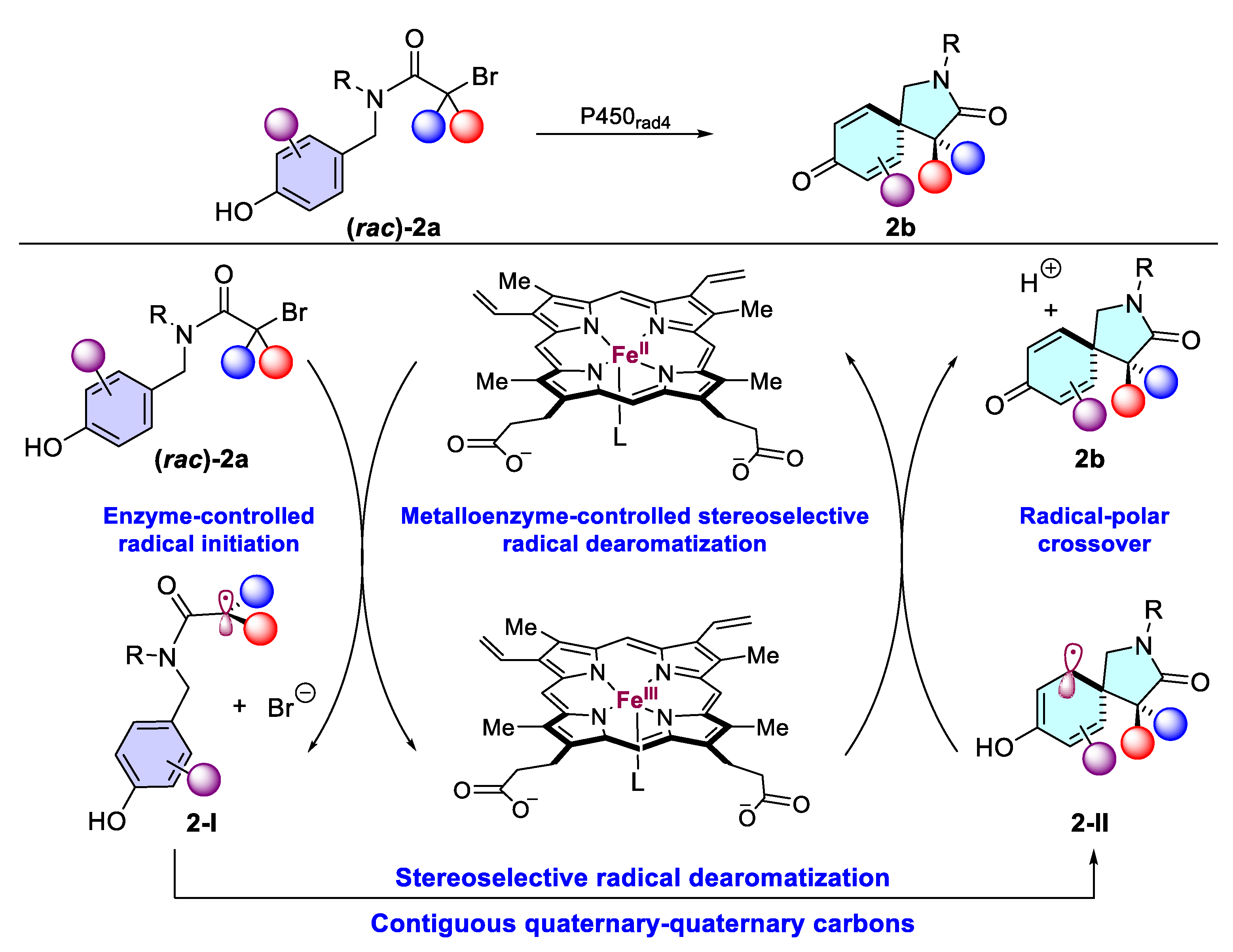 Catalysts 15 00673 sch002