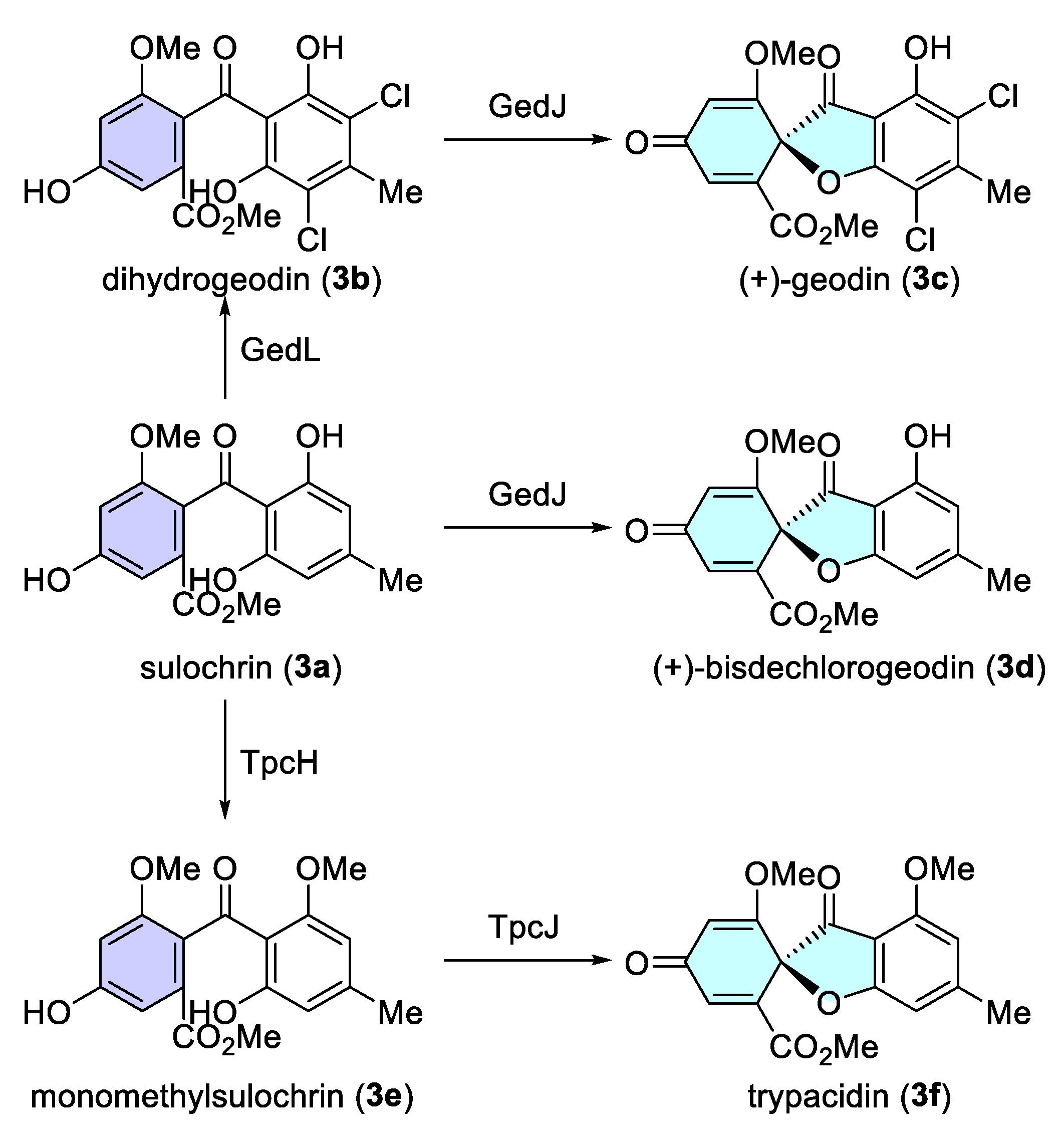 Catalysts 15 00673 sch003