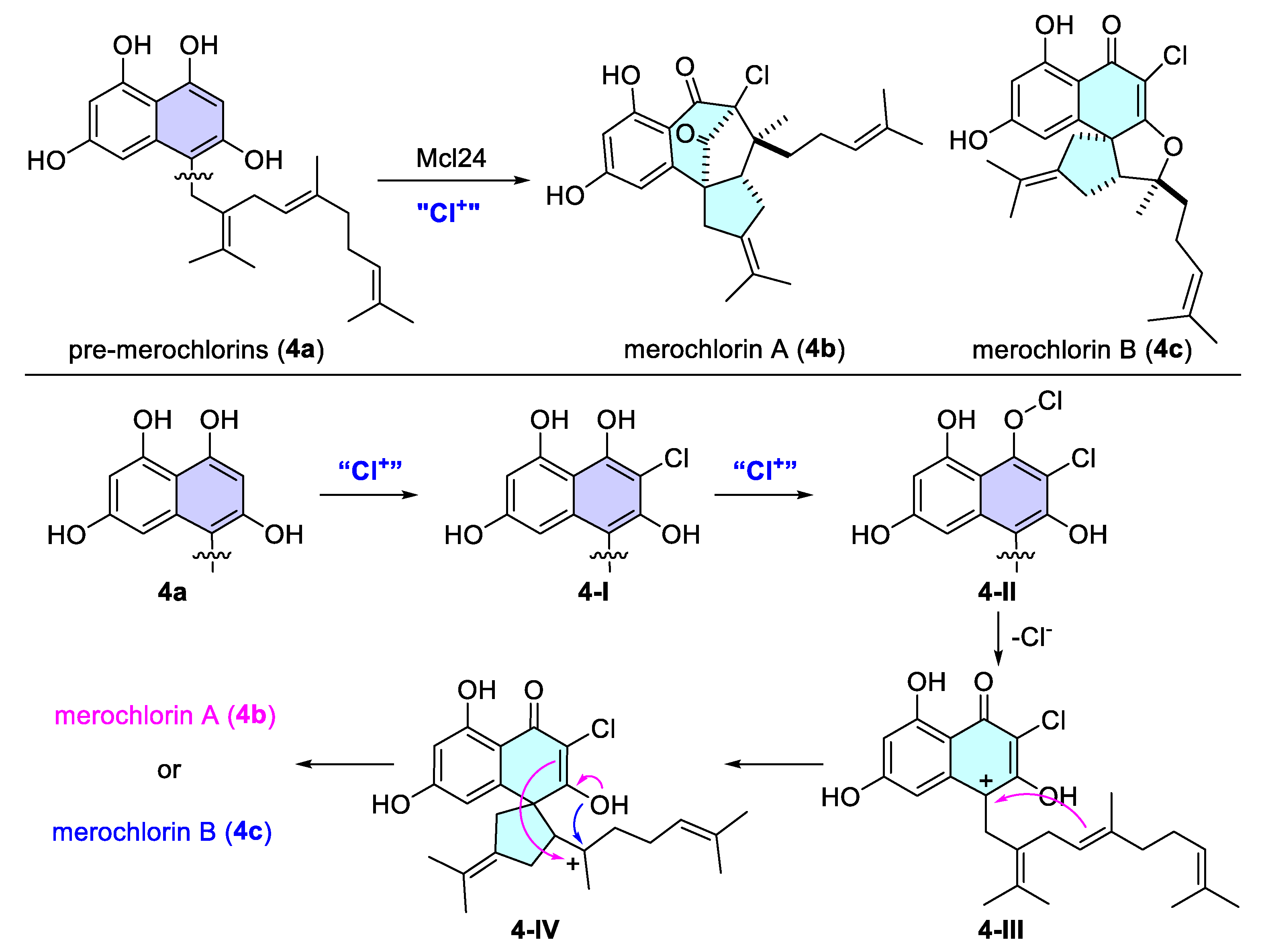 Catalysts 15 00673 sch004