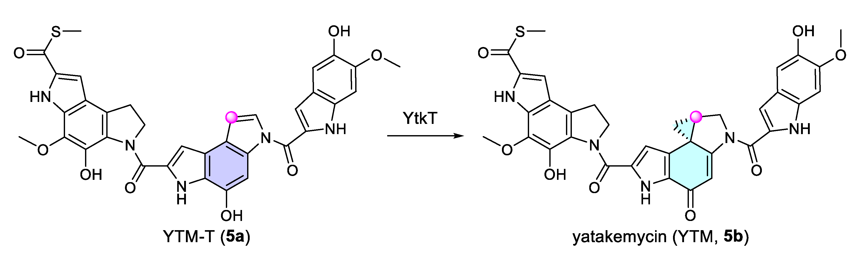 Catalysts 15 00673 sch005