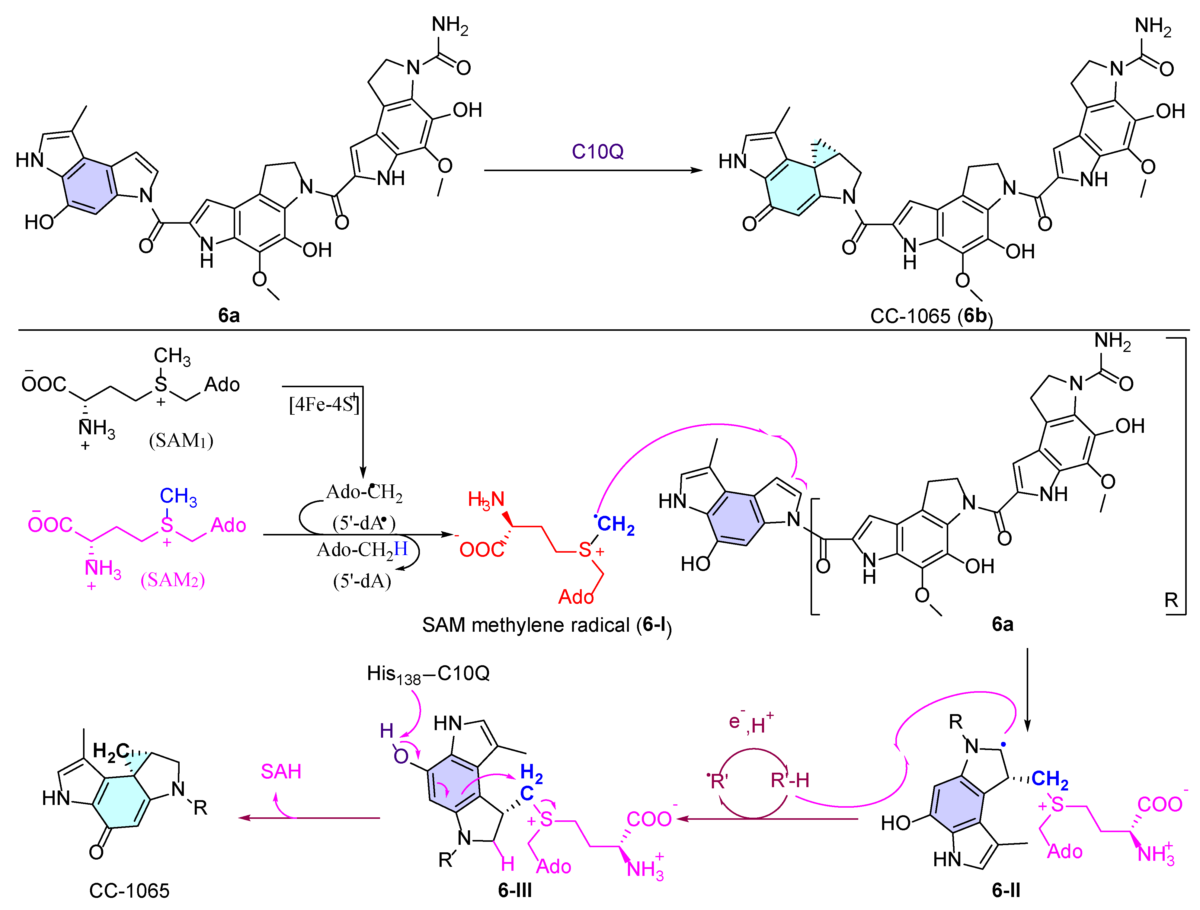 Catalysts 15 00673 sch006