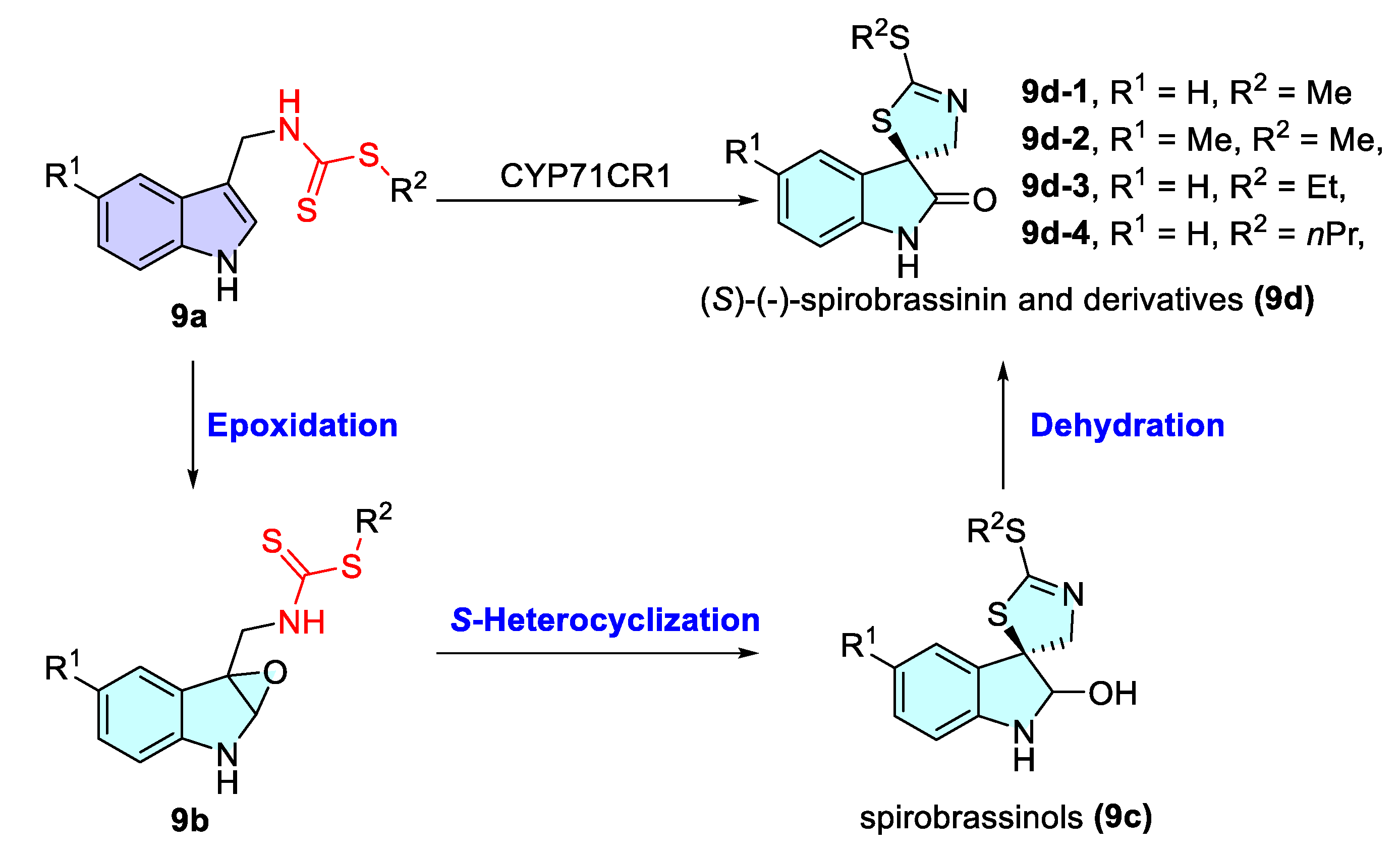 Catalysts 15 00673 sch009