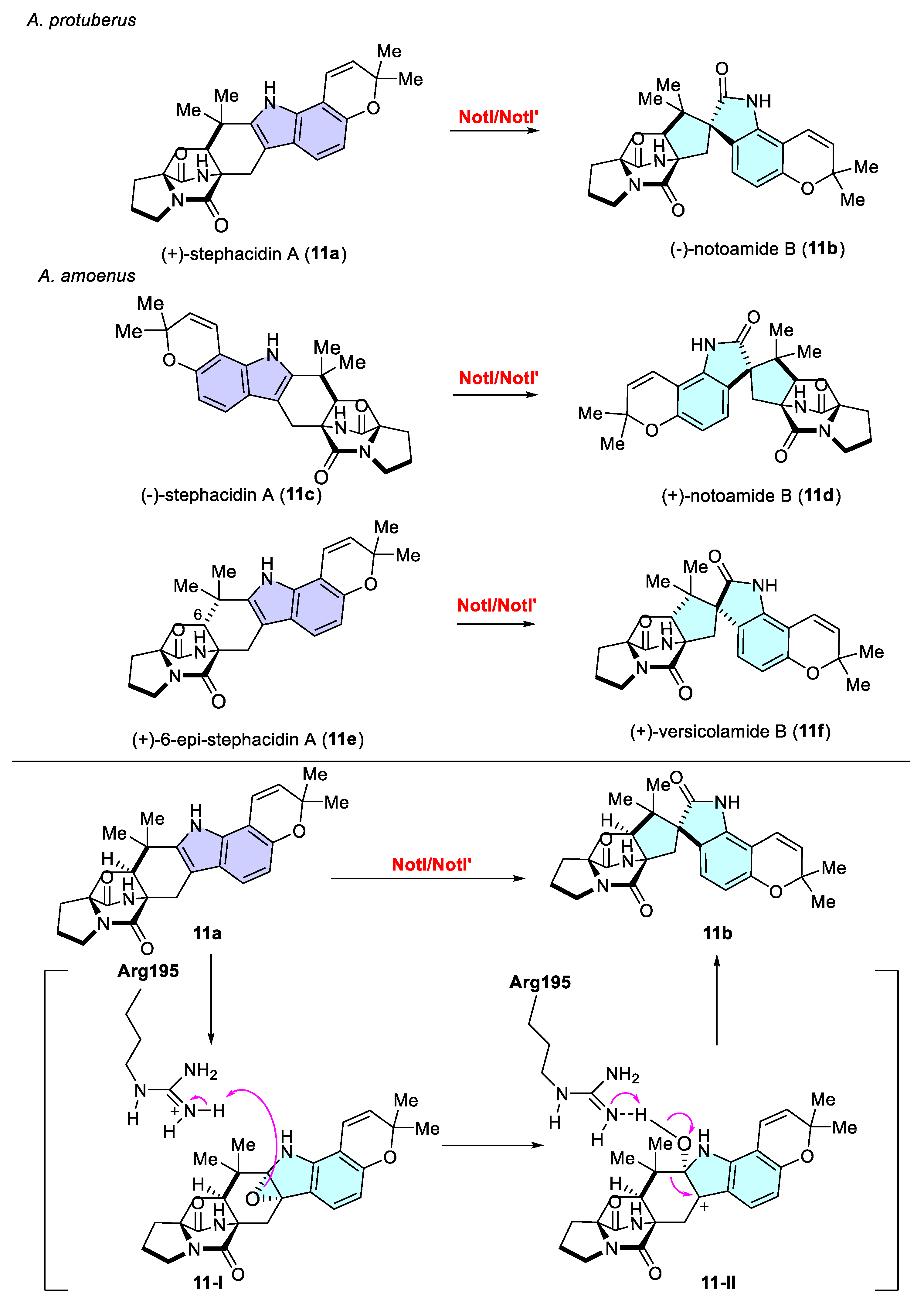 Catalysts 15 00673 sch011