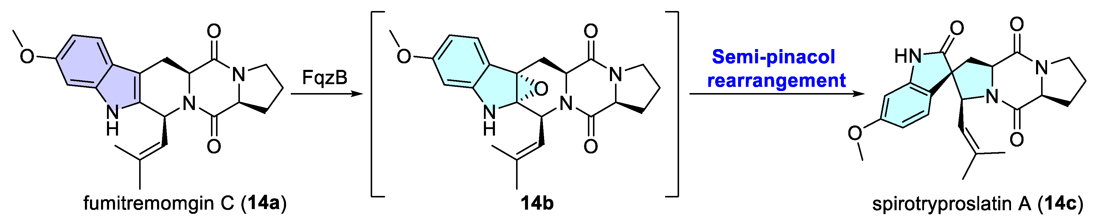 Catalysts 15 00673 sch014