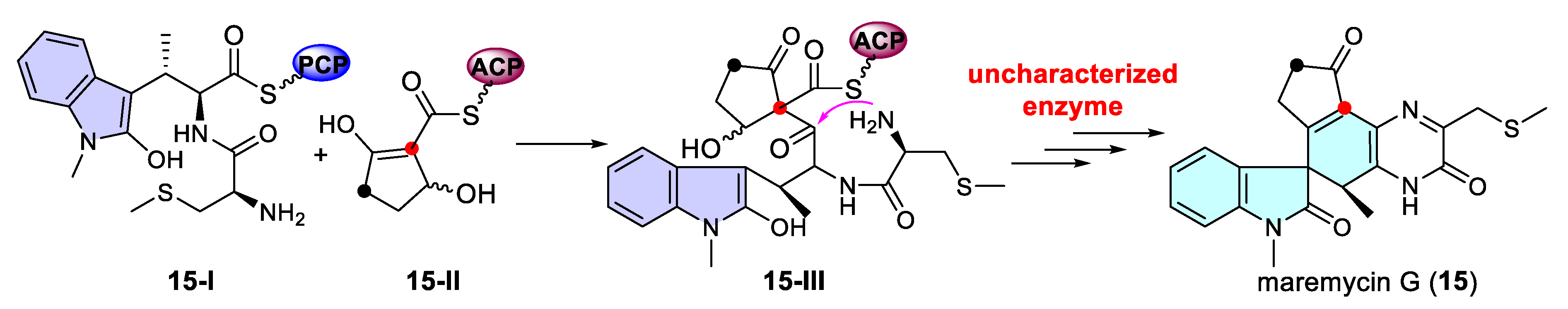Catalysts 15 00673 sch015