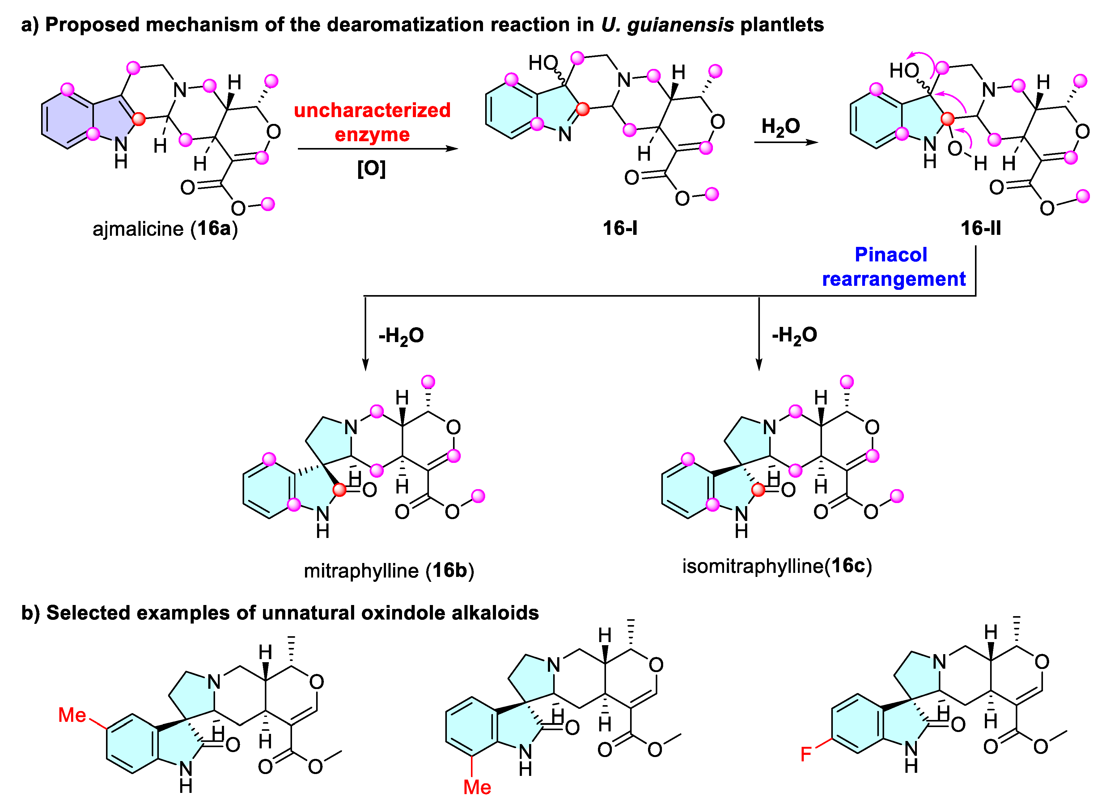 Catalysts 15 00673 sch016