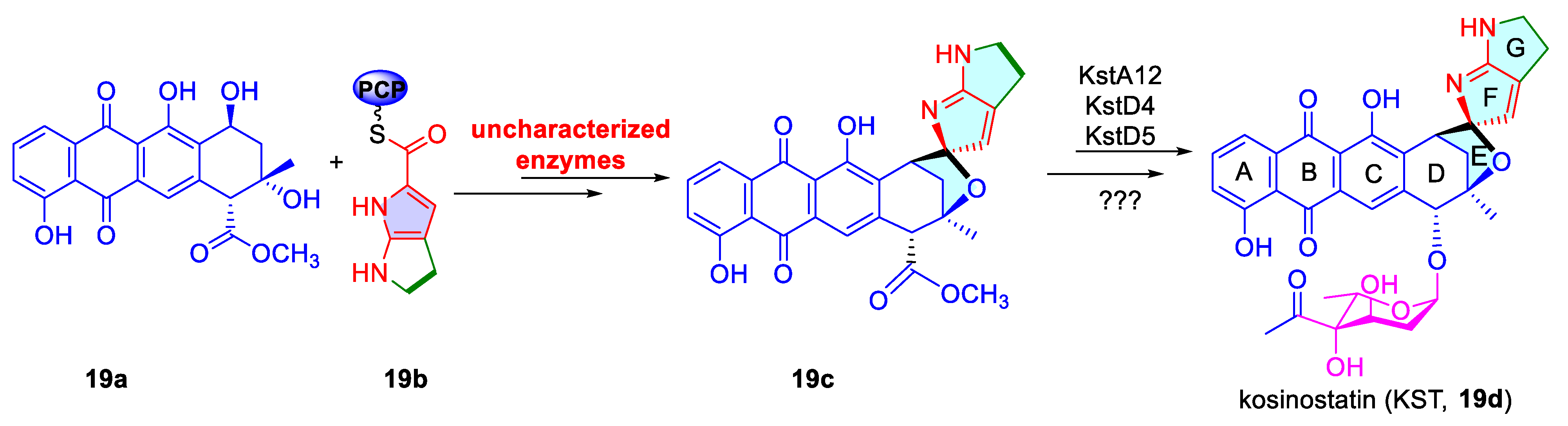 Catalysts 15 00673 sch019