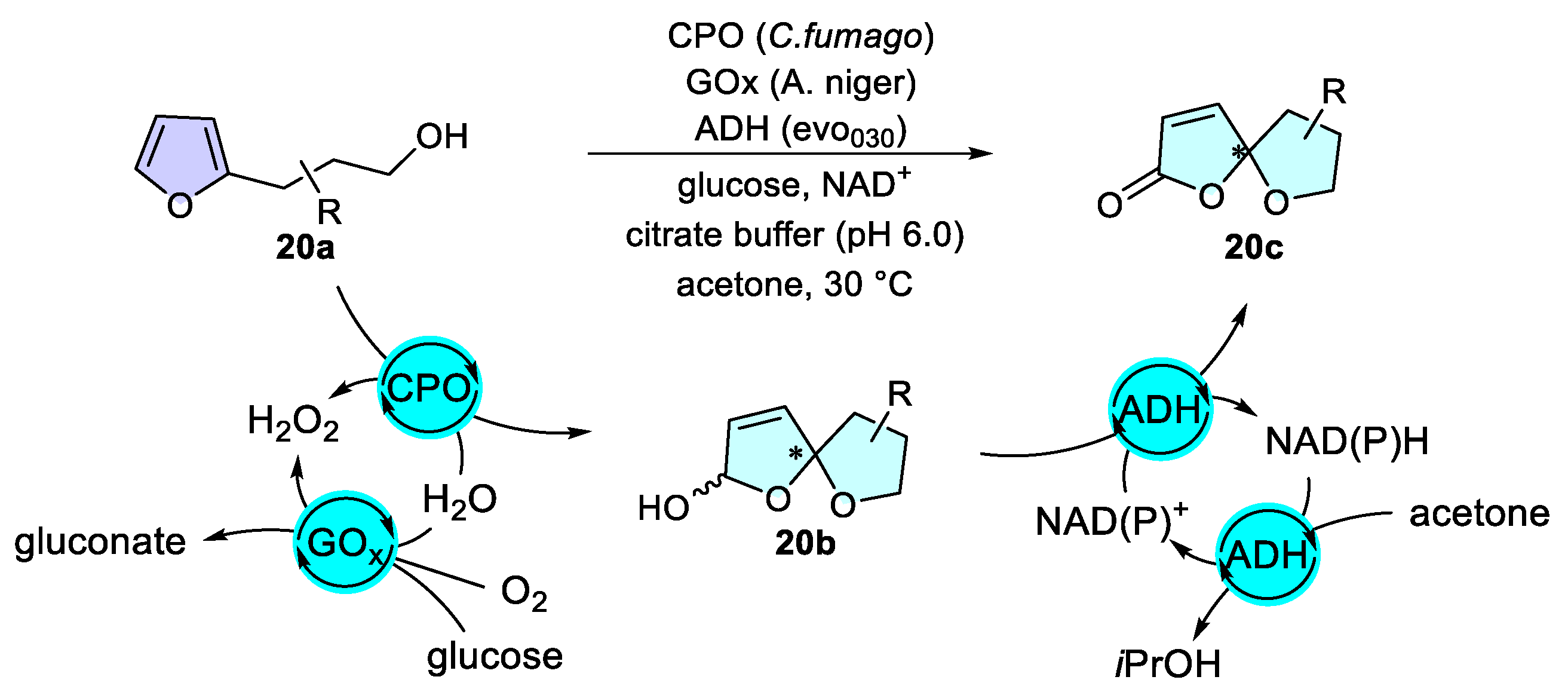 Catalysts 15 00673 sch020