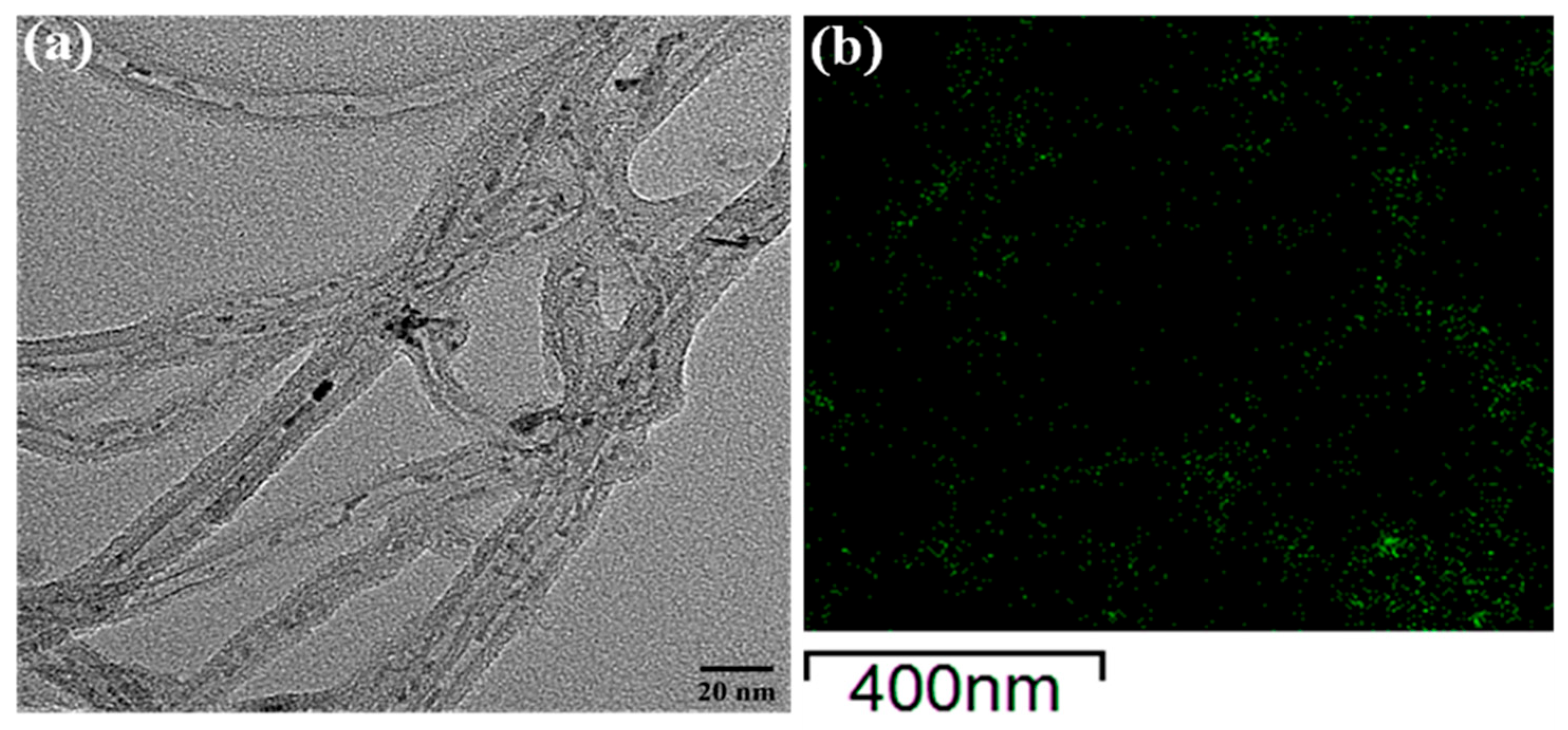 Catalysts 15 00675 g006