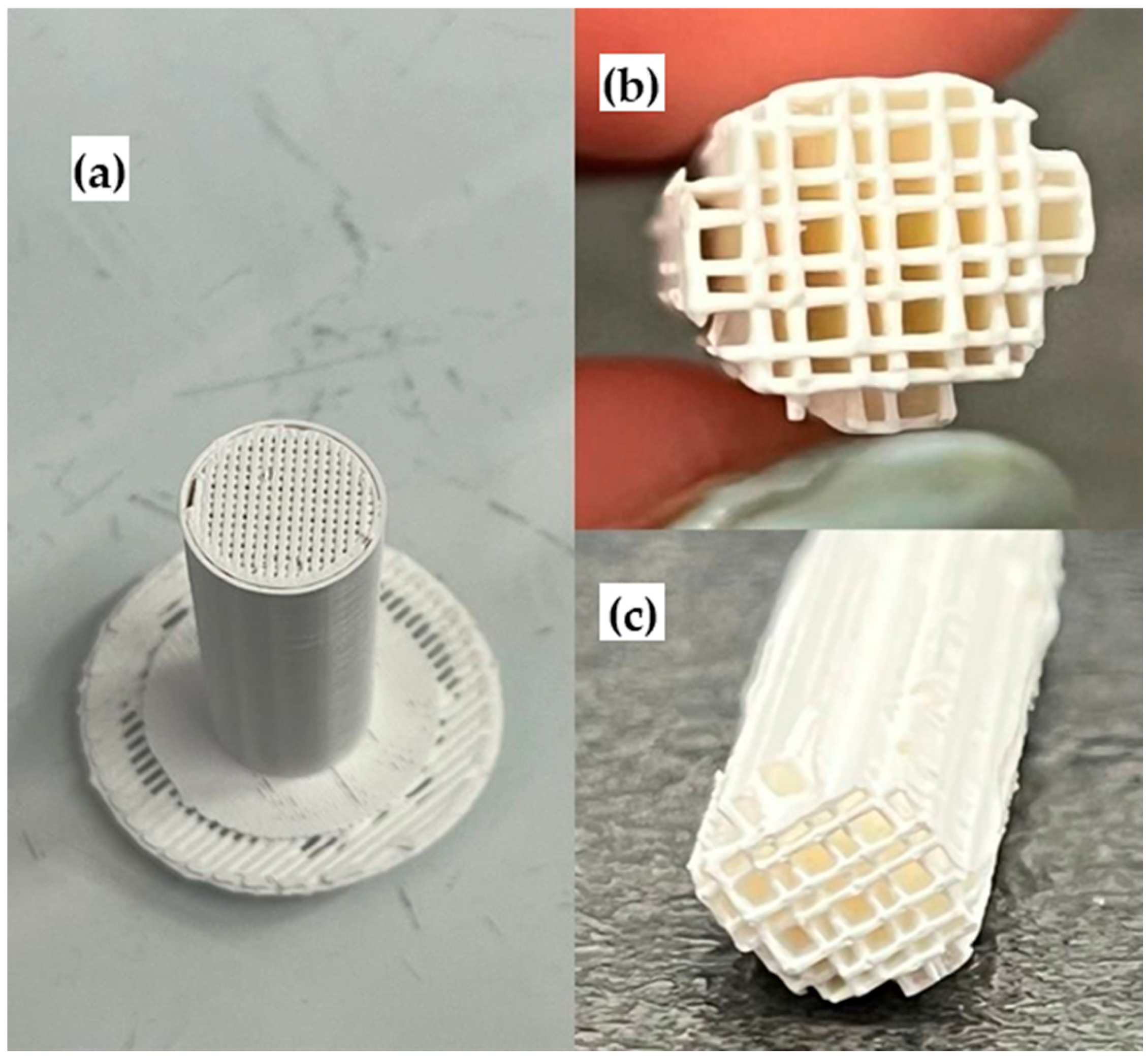 Catalysts 15 00677 g002