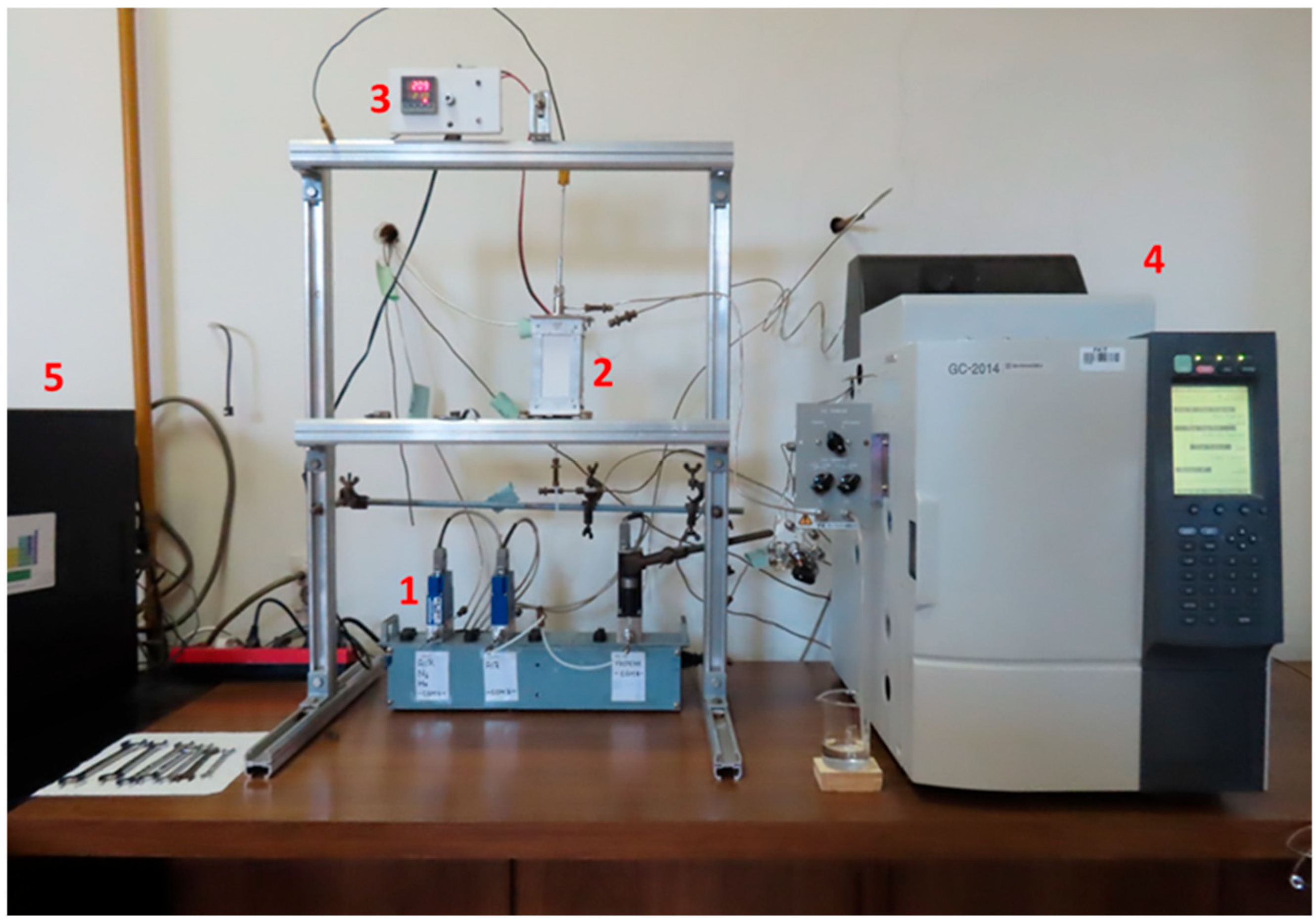 Catalysts 15 00677 g009