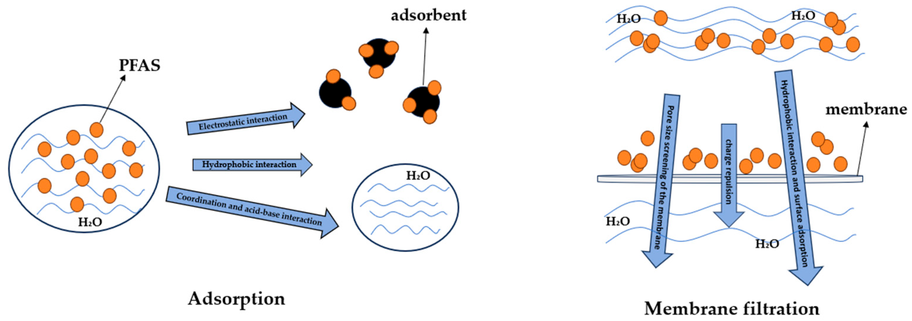 Catalysts 15 00678 g001