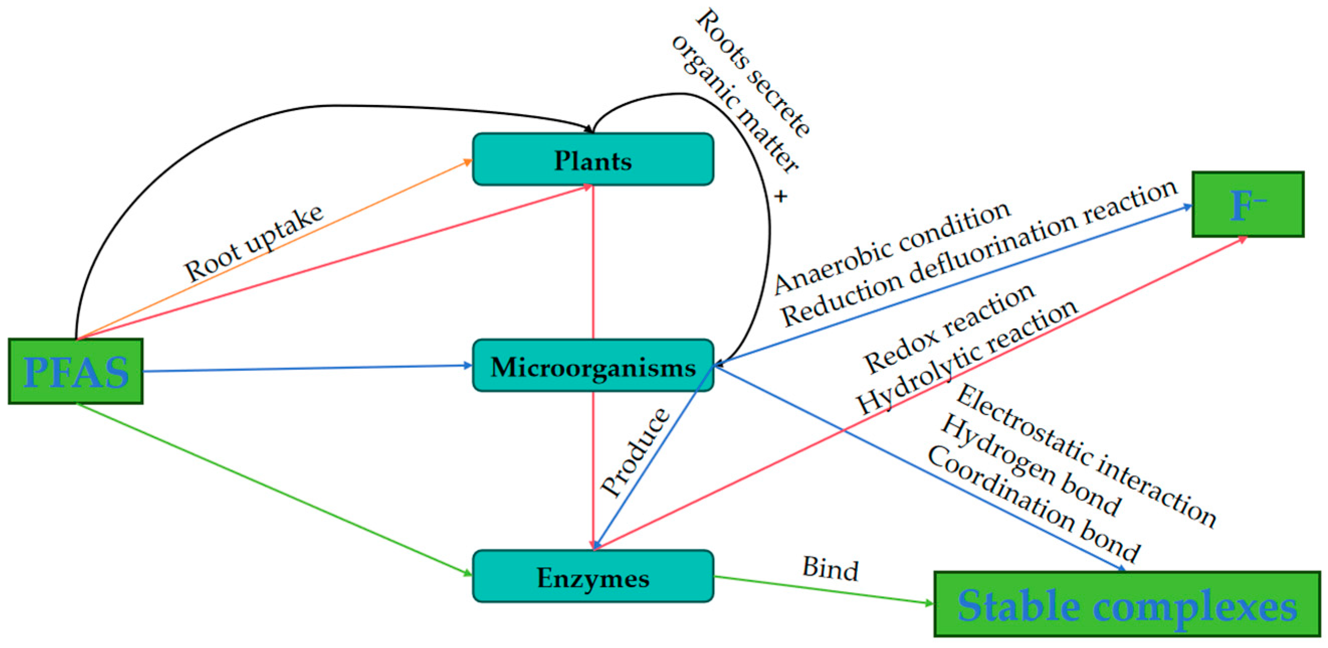 Catalysts 15 00678 g005